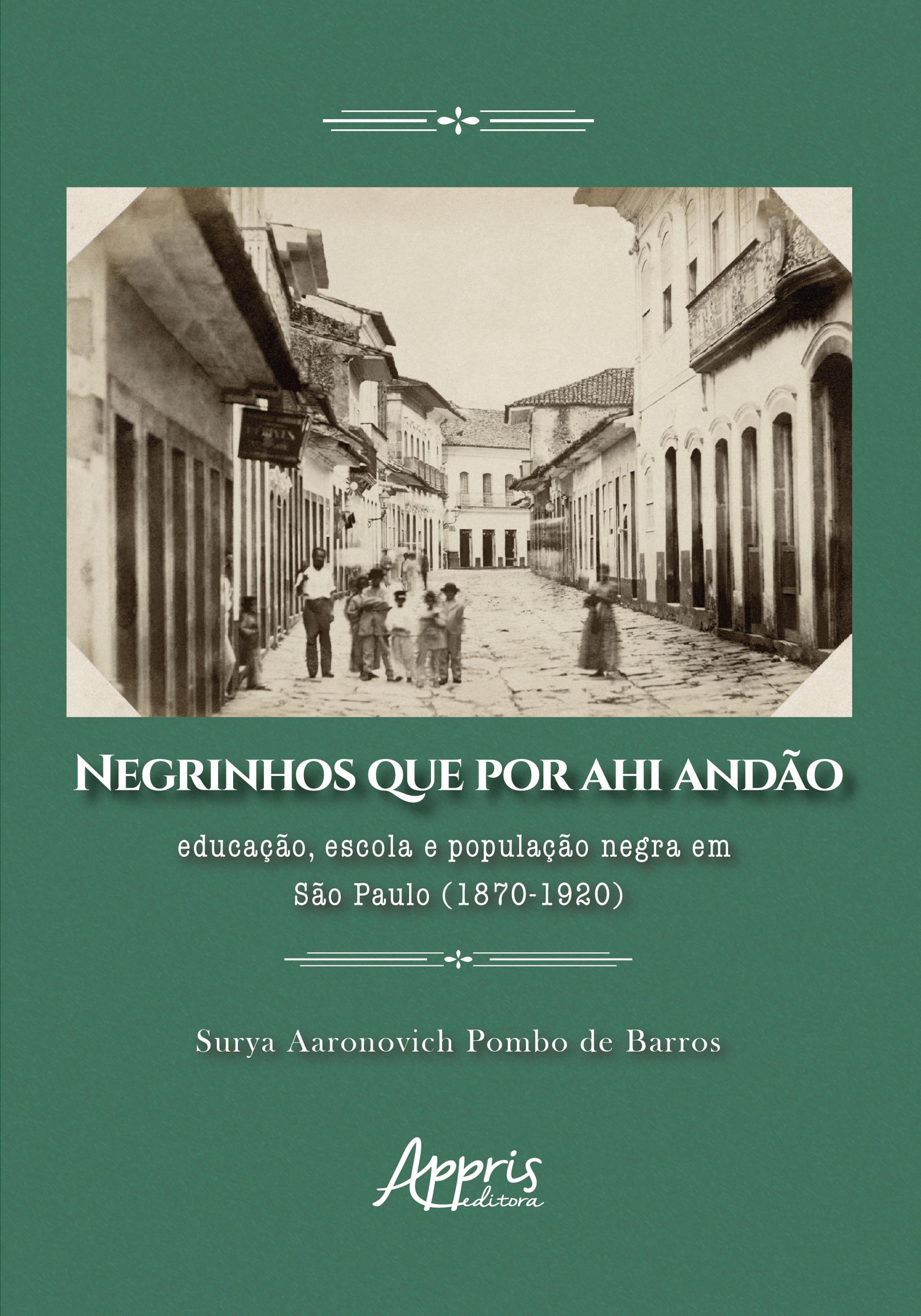 Negrinhos que por Ahi Andão: Educação, Escola e População Negra em São Paulo (1870-1920)