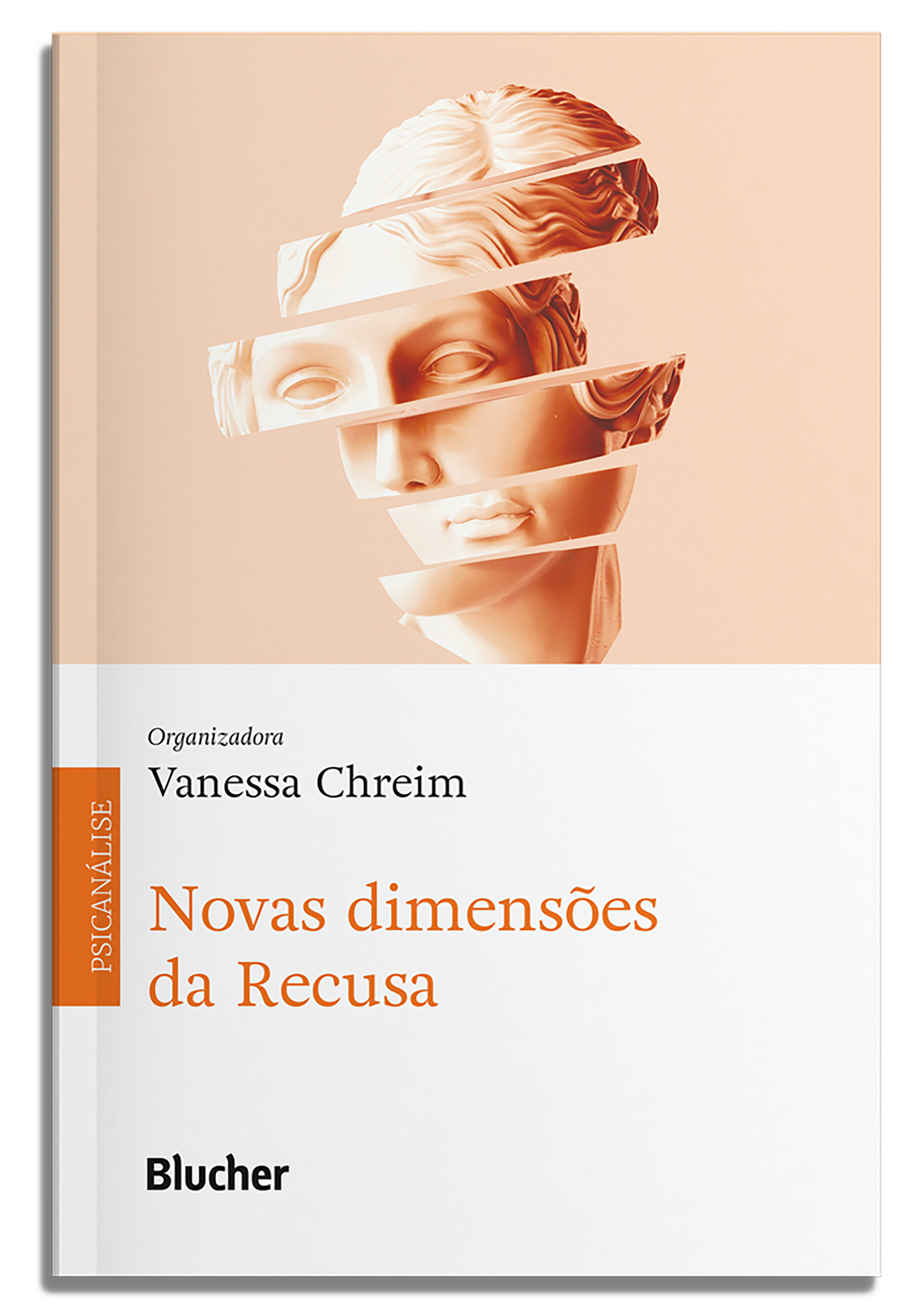 Novas dimensões da Recusa