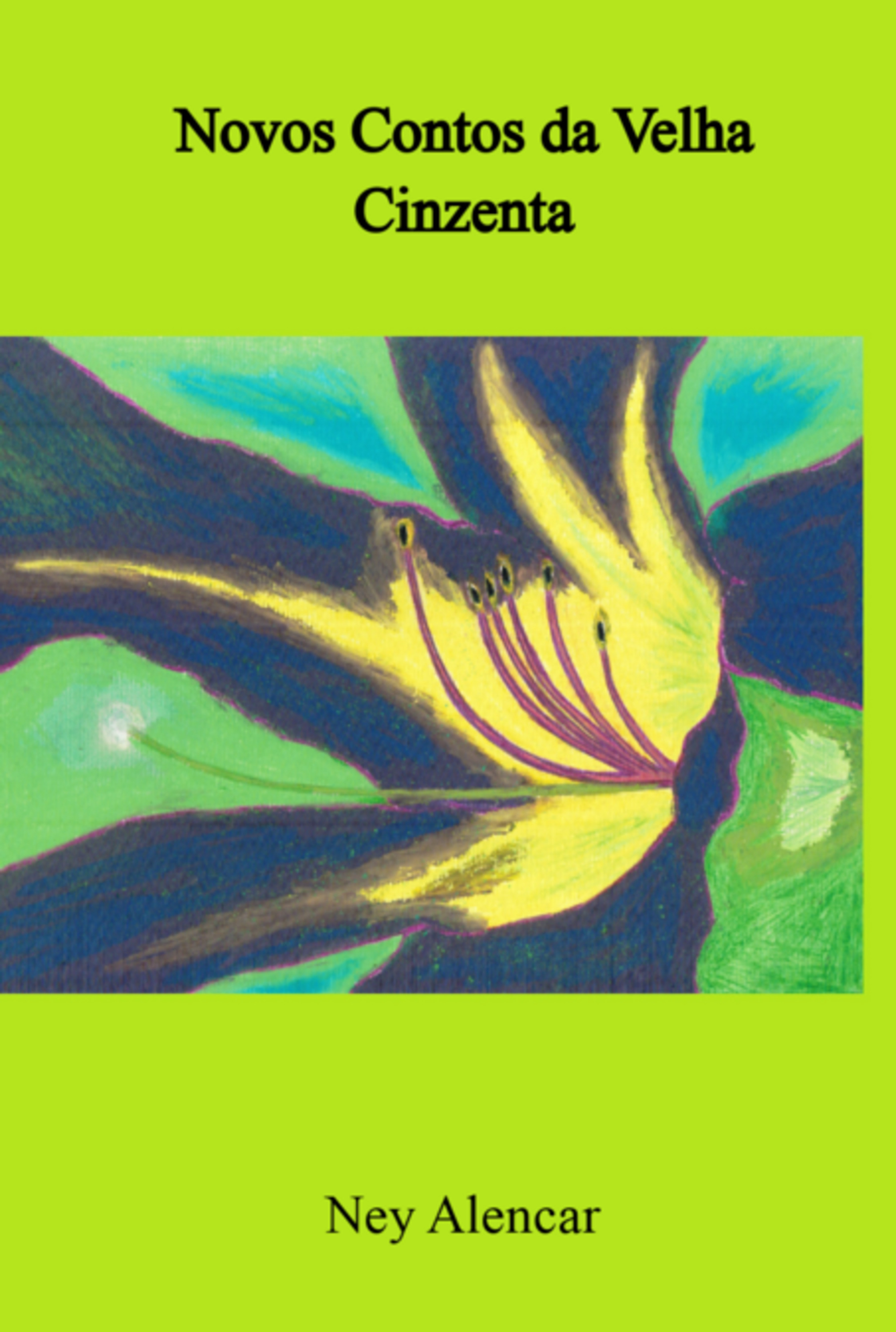 Novos Contos Da Velha Cinzenta