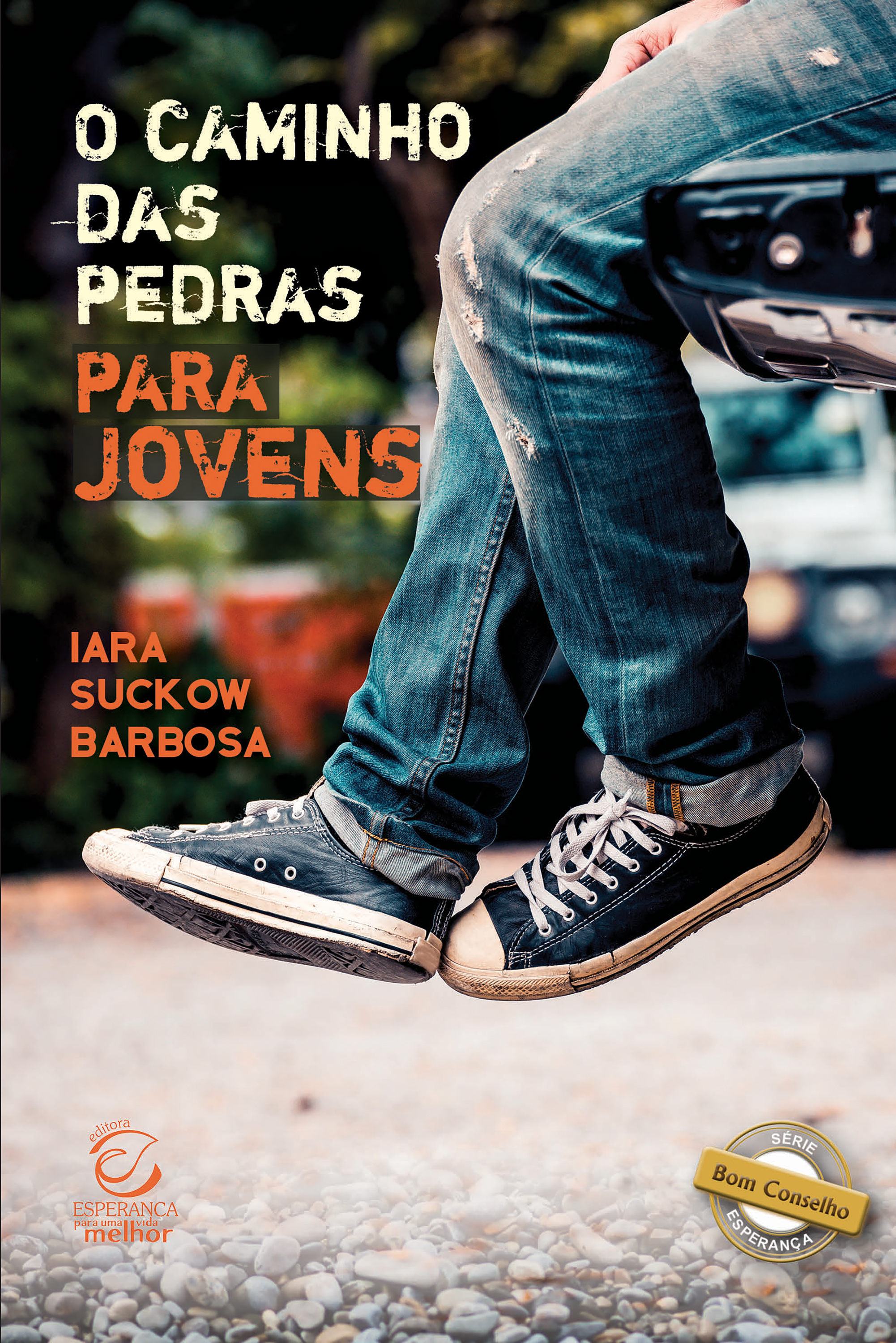 O caminho das pedras para jovens - eBook