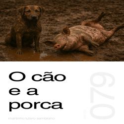 O cão e a porca - Sermão 079