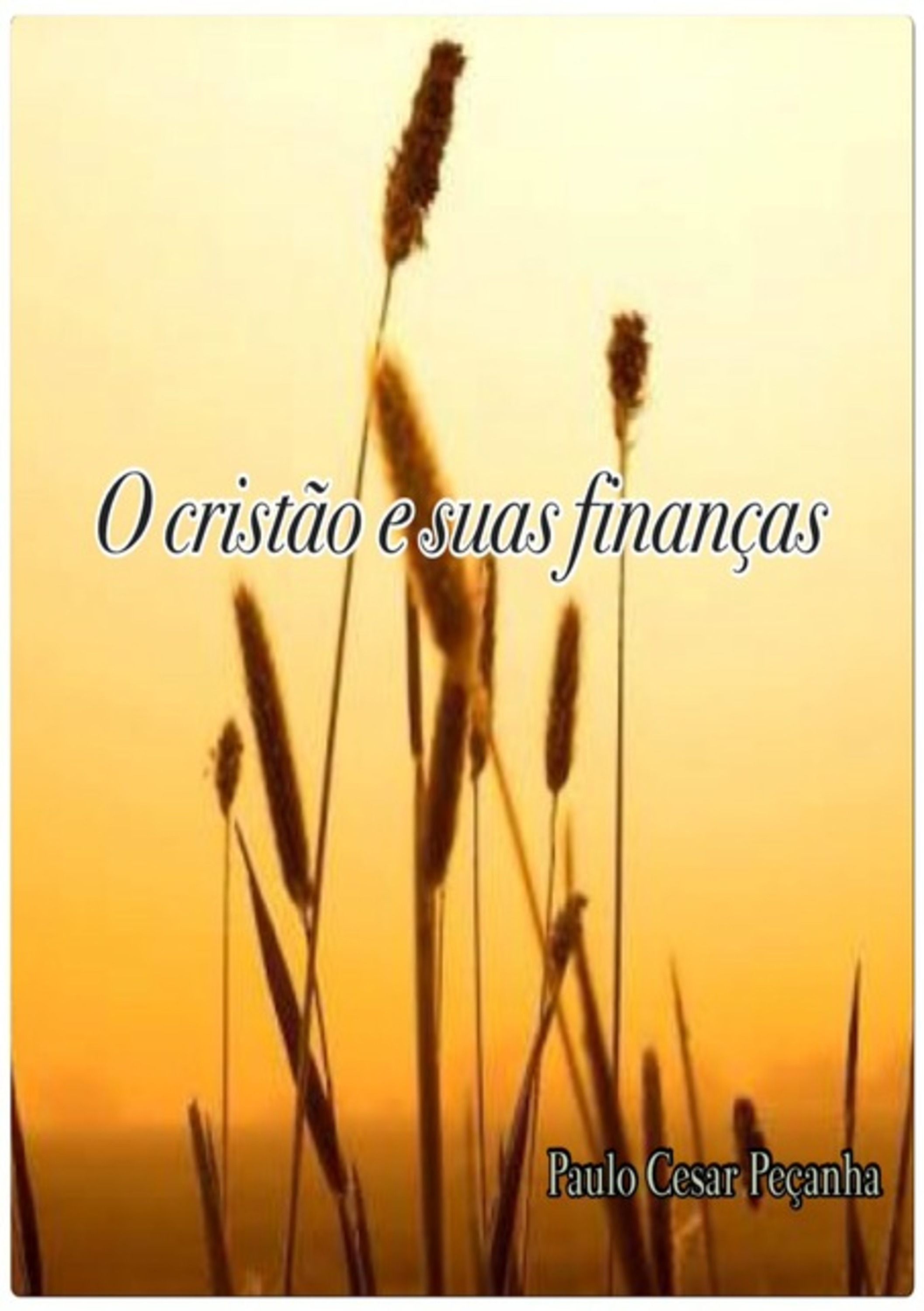 O Cristão E Suas Finanças