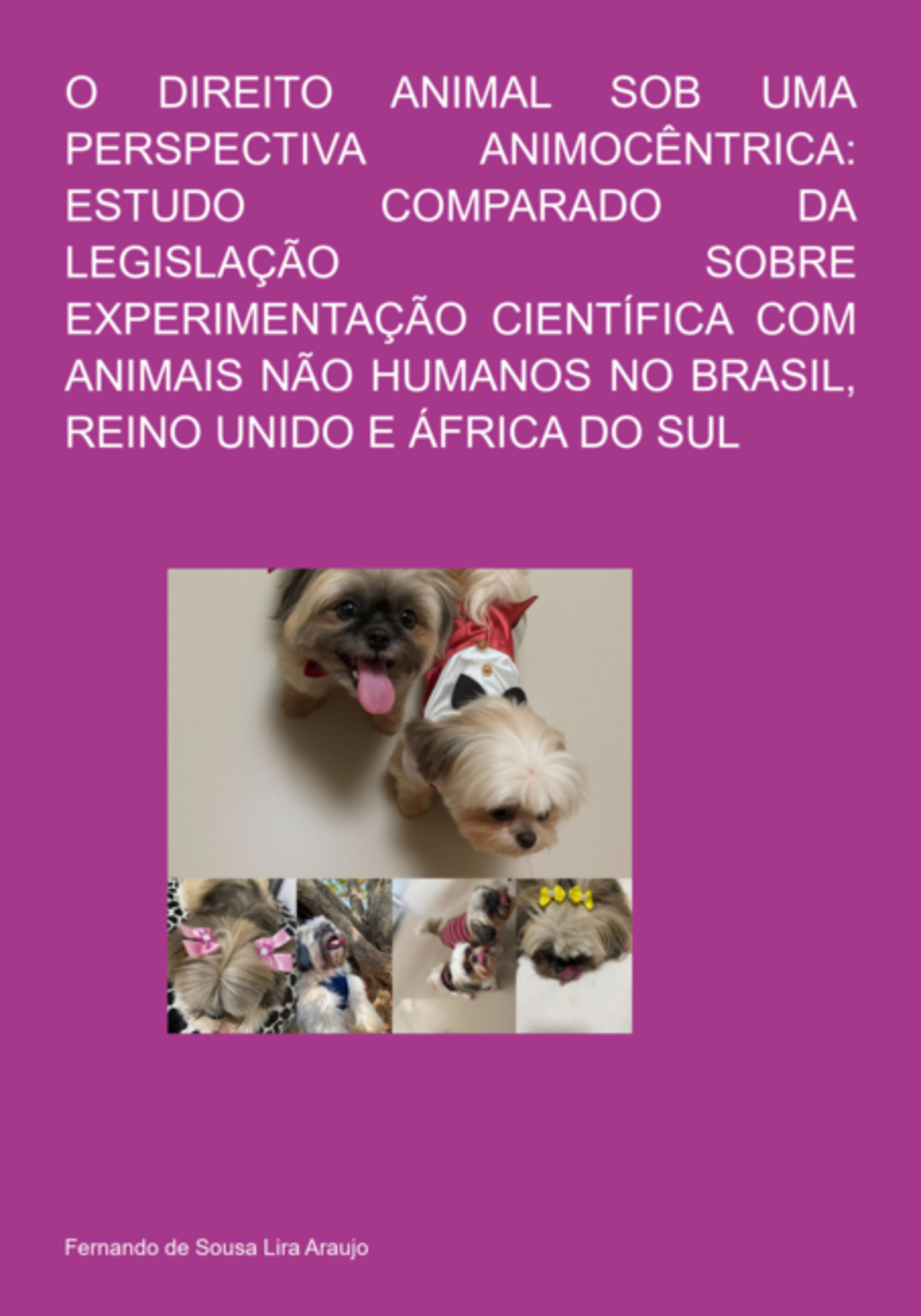 O Direito Animal Sob Uma Perspectiva Animocêntrica: Estudo Comparado Da Legislação Sobre Experimentação Científica Com Animais Não Humanos No Brasil, Reino Unido E África Do Sul
