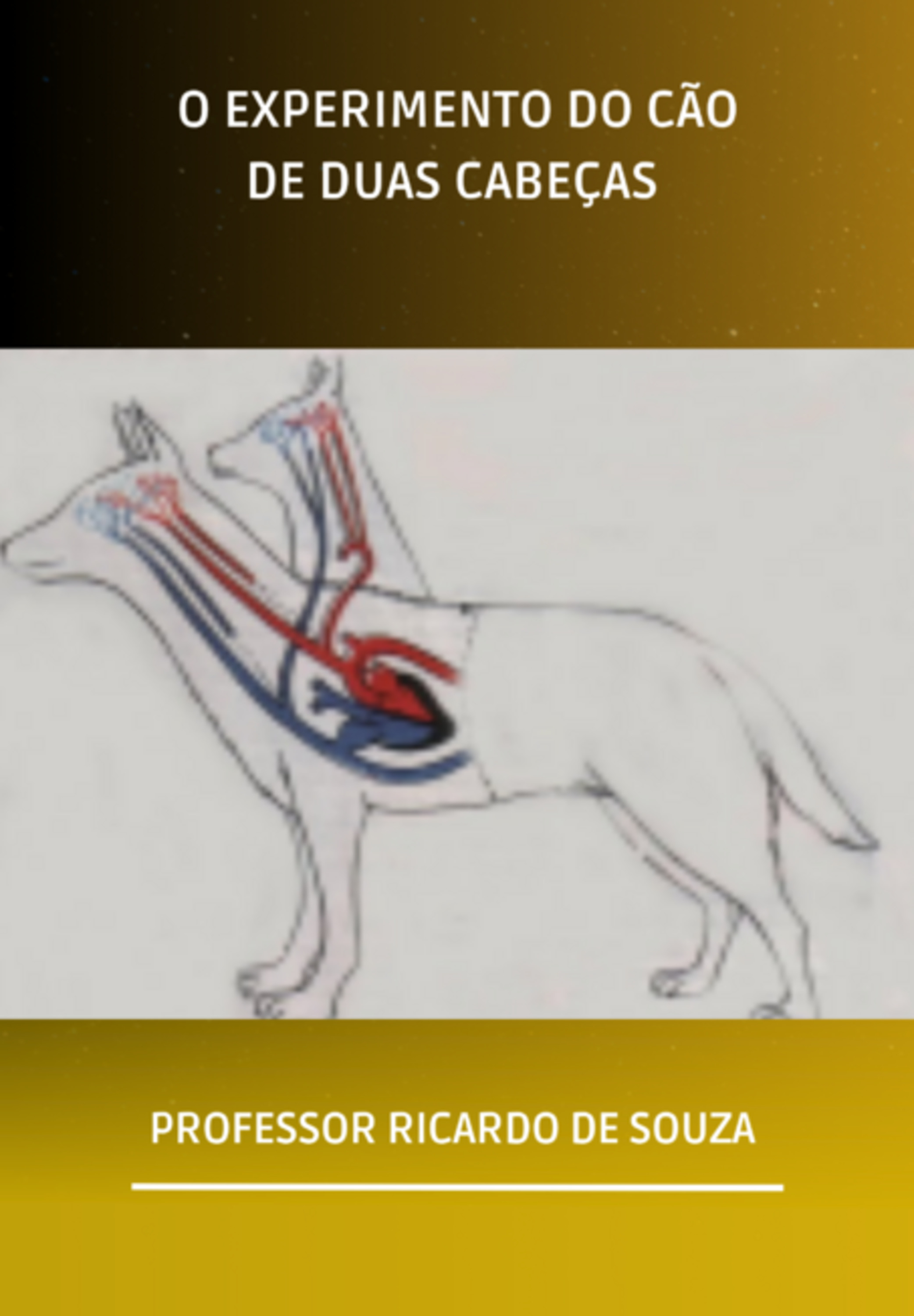 O Experimento Do Cão De Duas Cabeças
