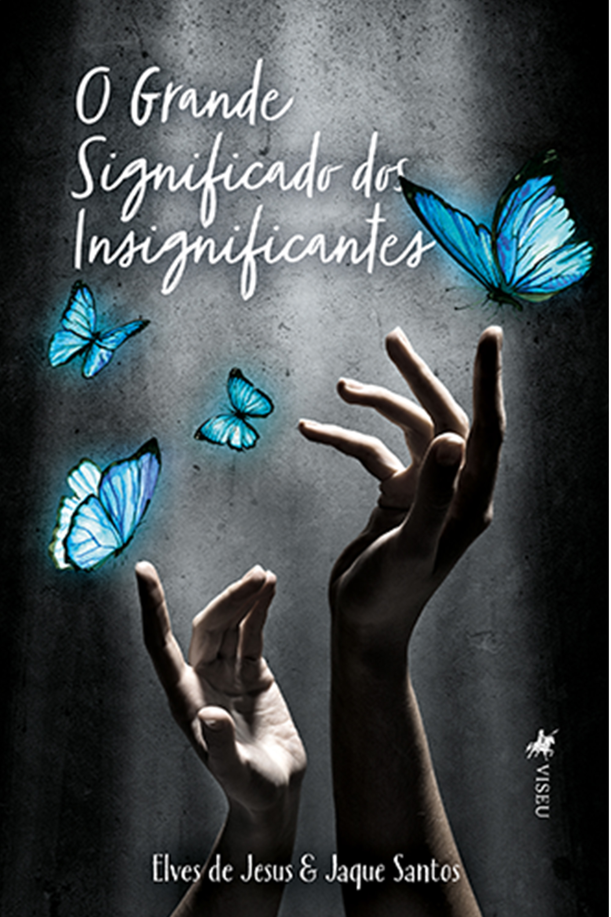 O Grande Significado dos Insignificantes