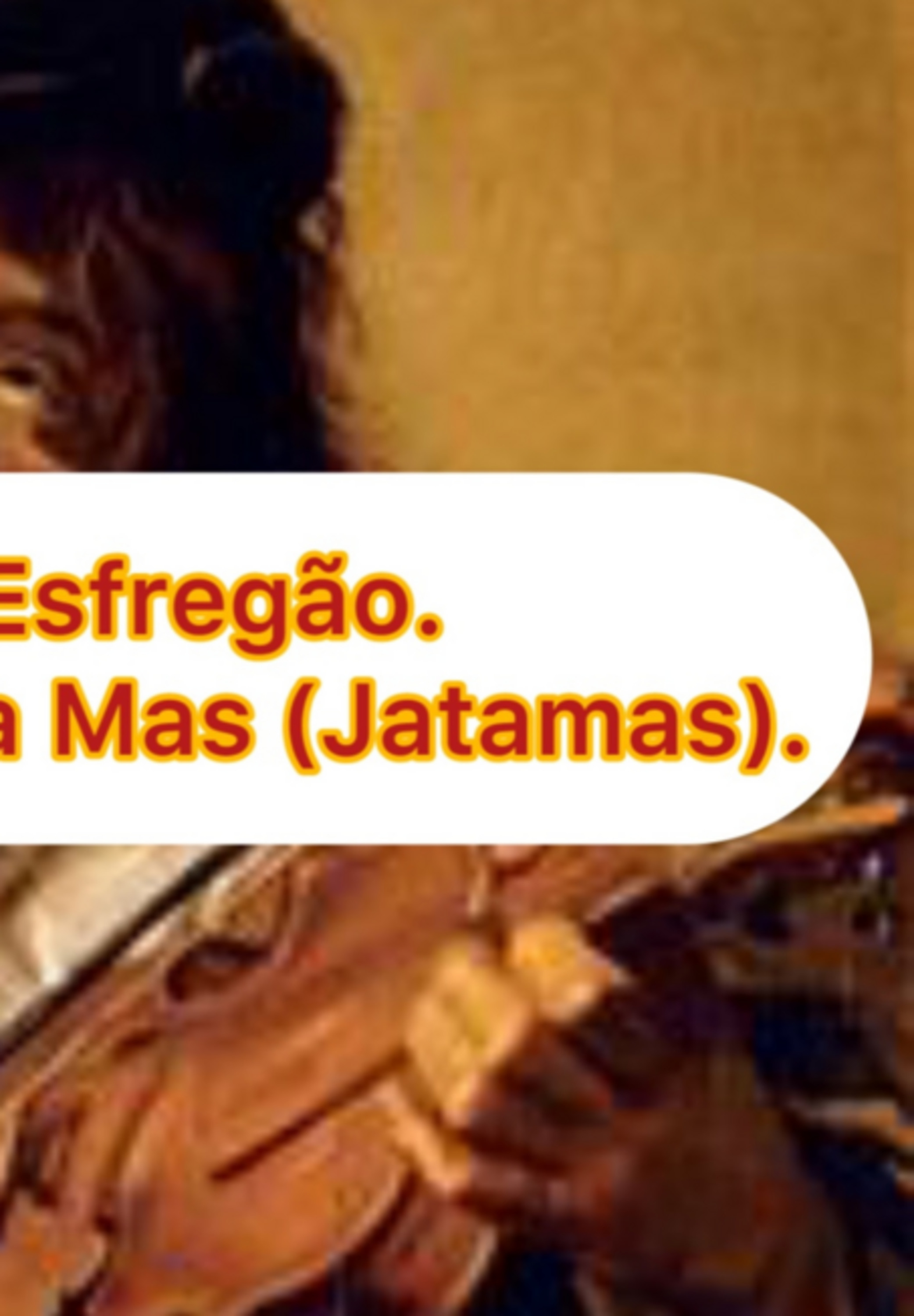 O Ilustre Esfregão.