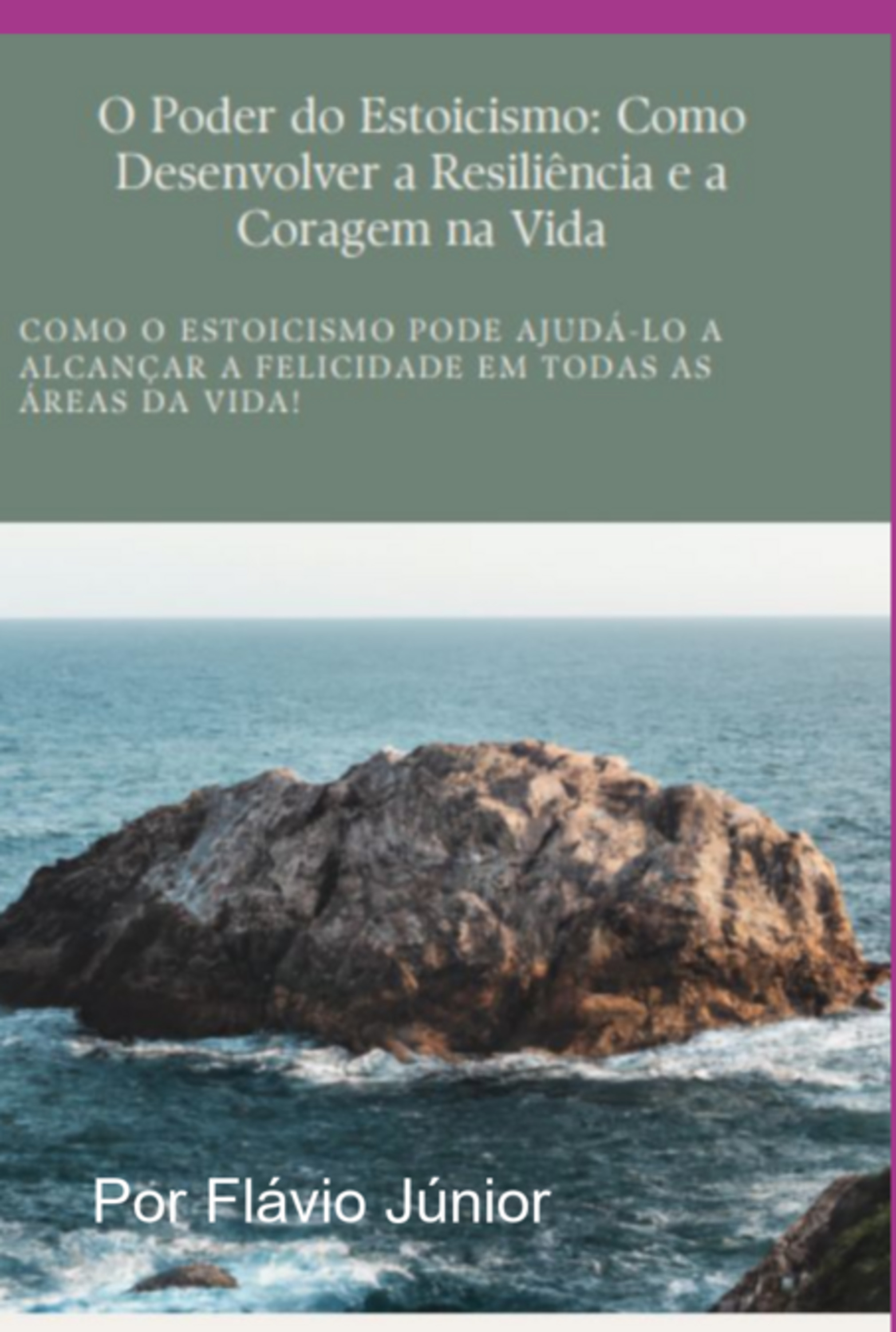 O Poder Do Estoicismo