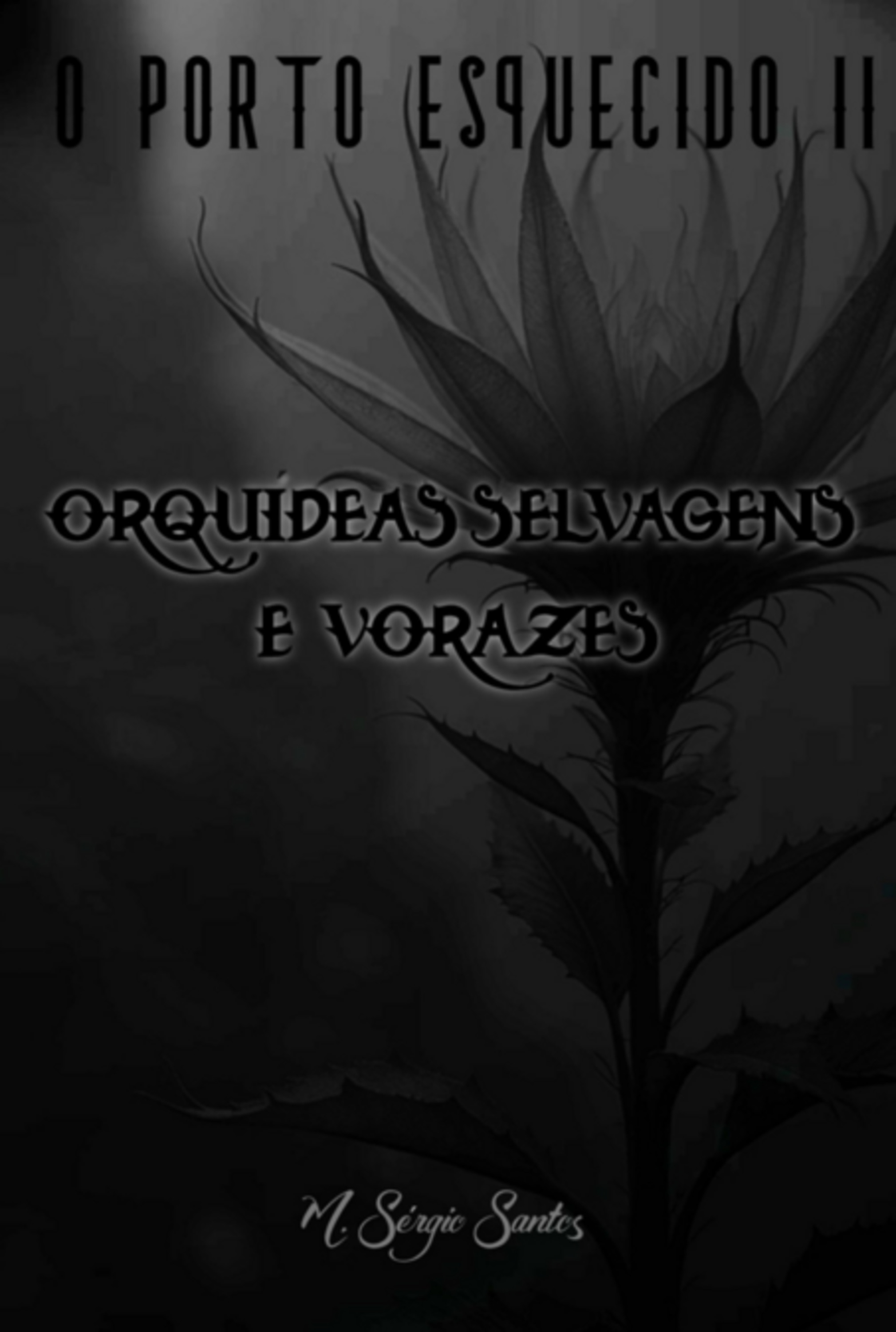 O Porto Esquecido Ii