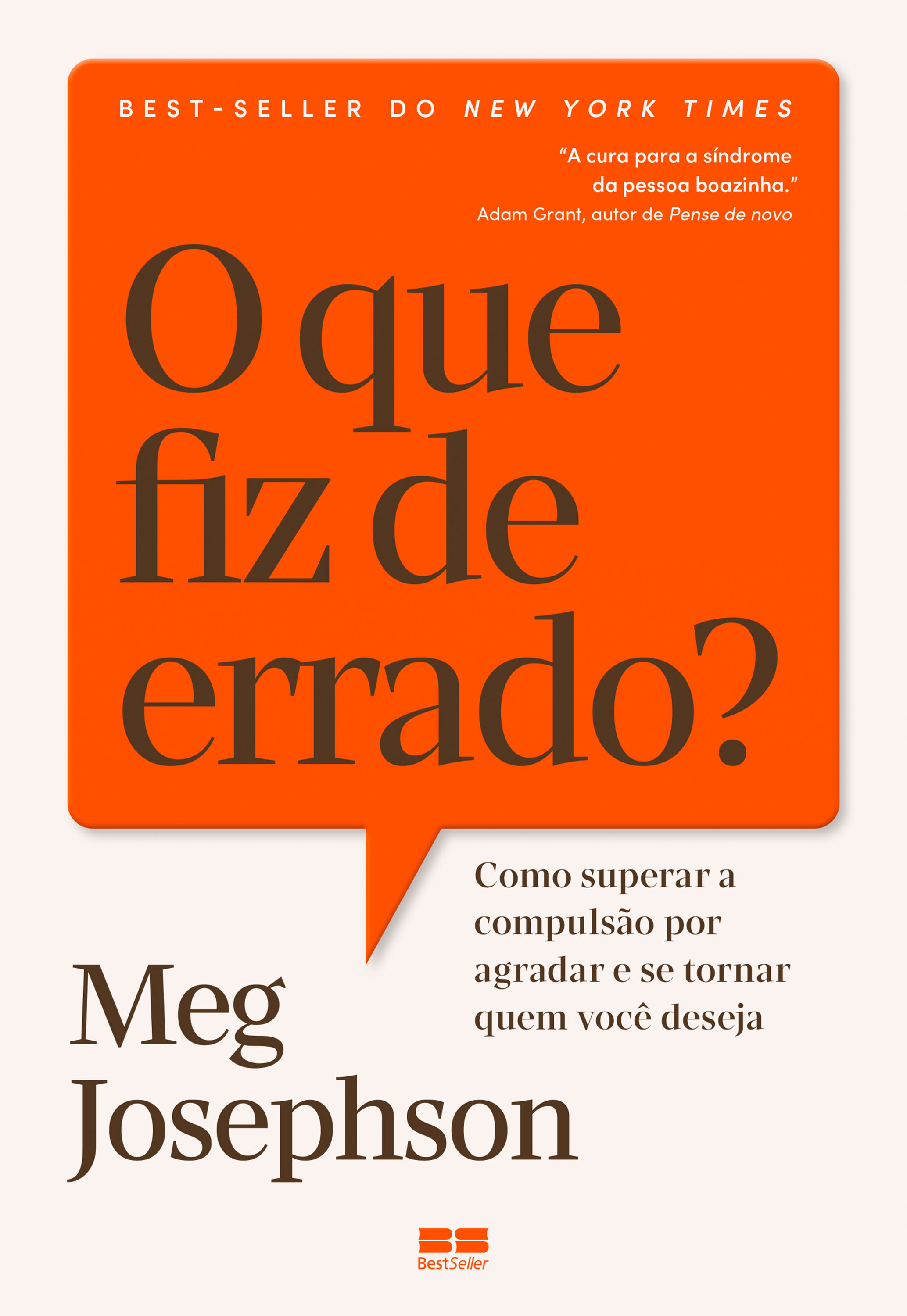 O que fiz de errado?