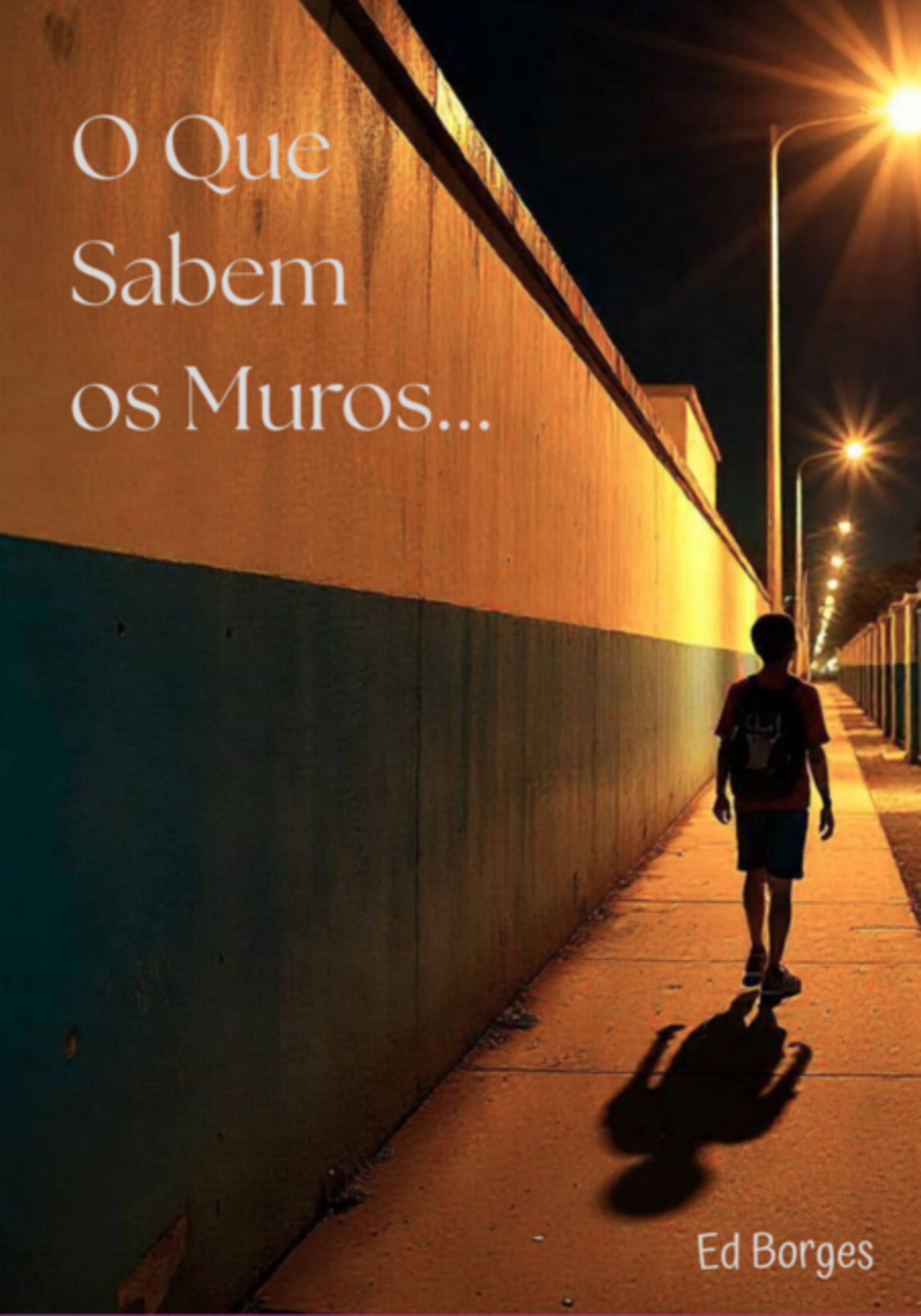 O Que Sabem Os Muros