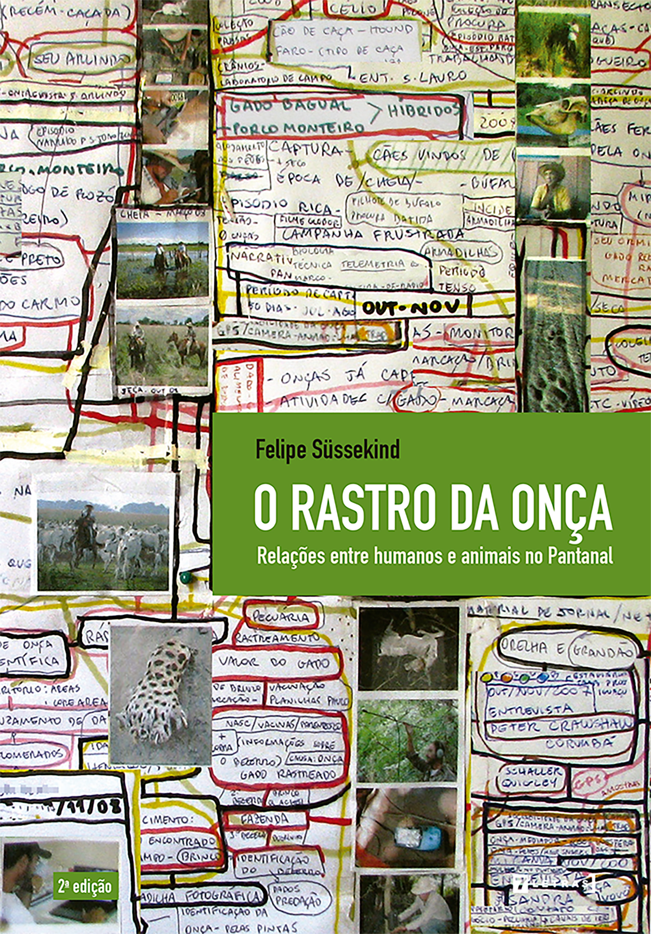 O rastro da onça