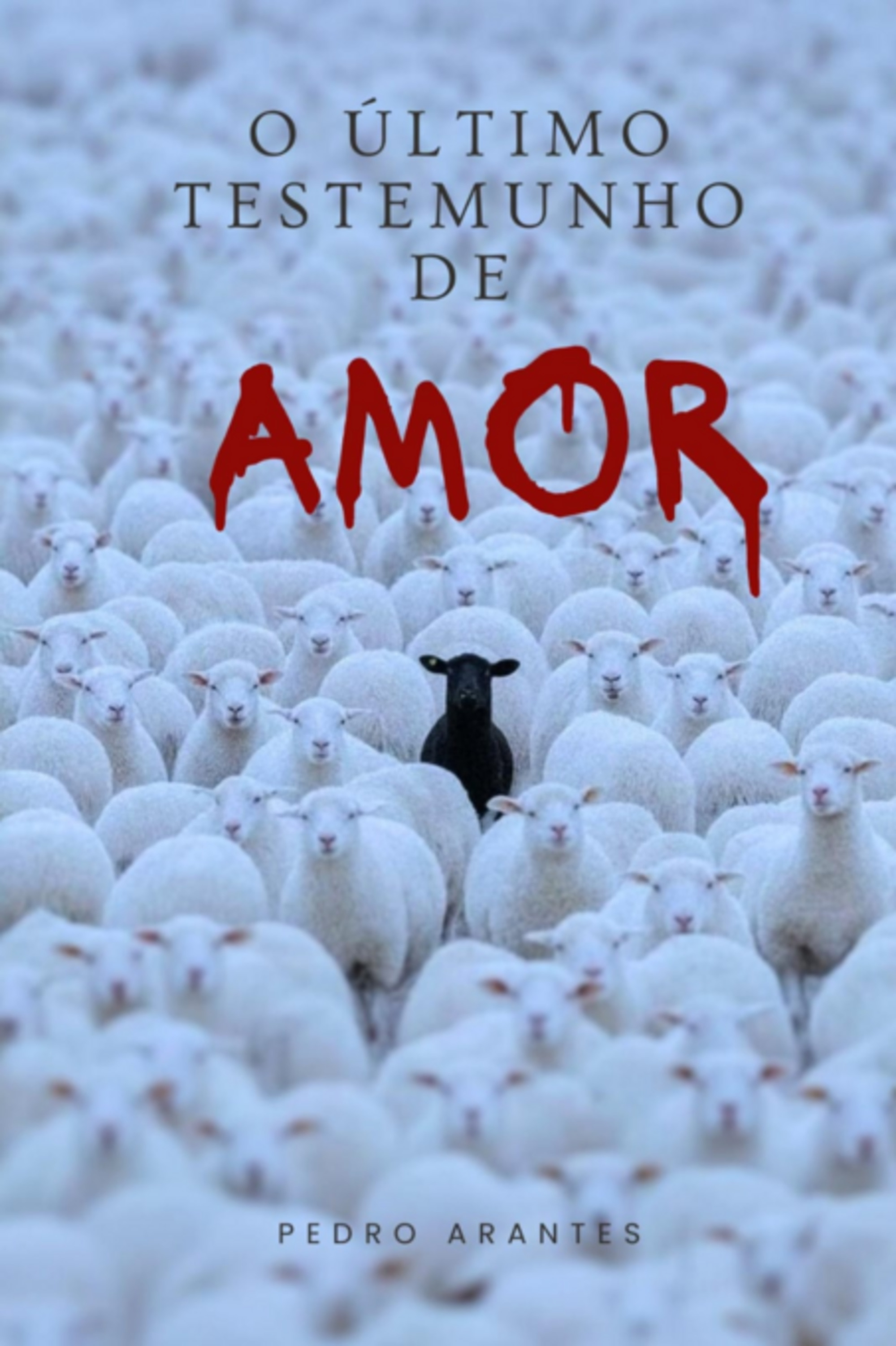 O Último Testemunho De Amor.