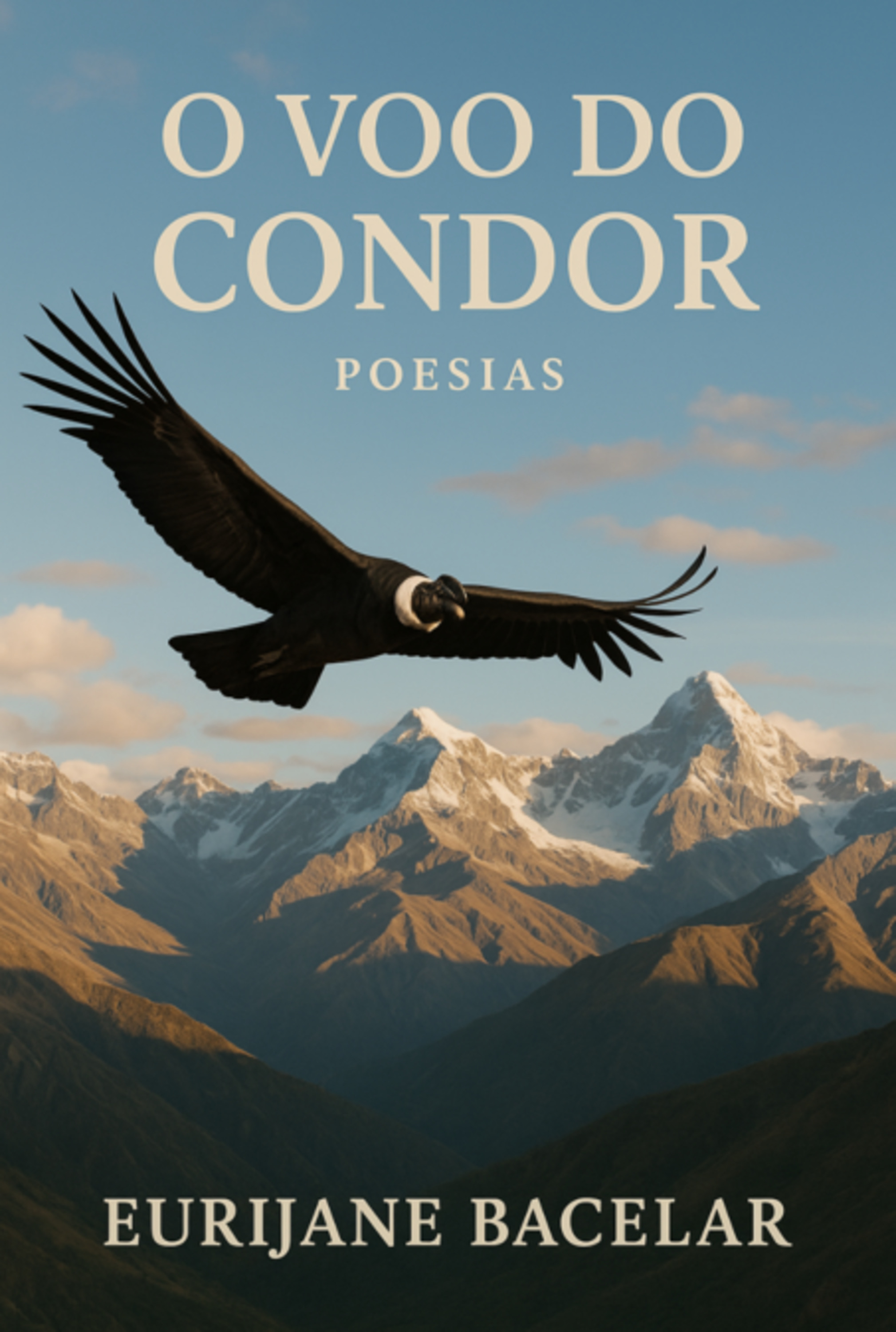 O Voo Do Condor