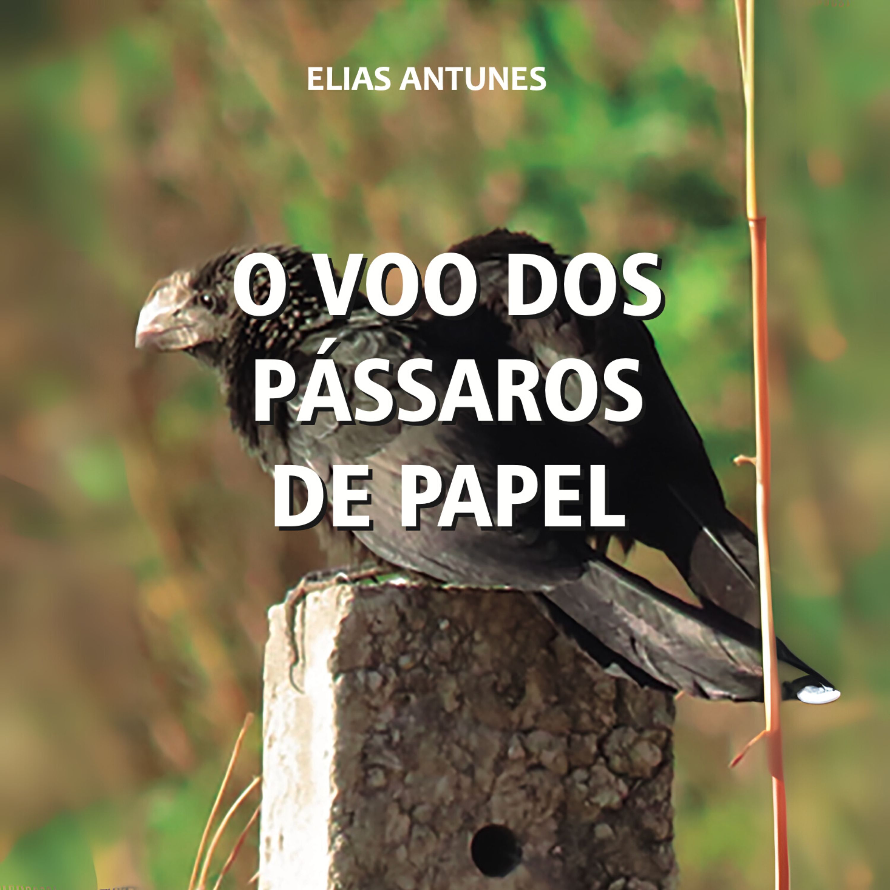 O voo dos pássaros de papel