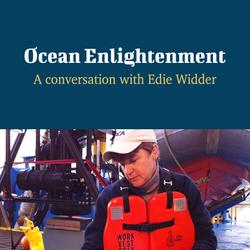 Ocean Enlightenment - A Conversation with Edie Widder