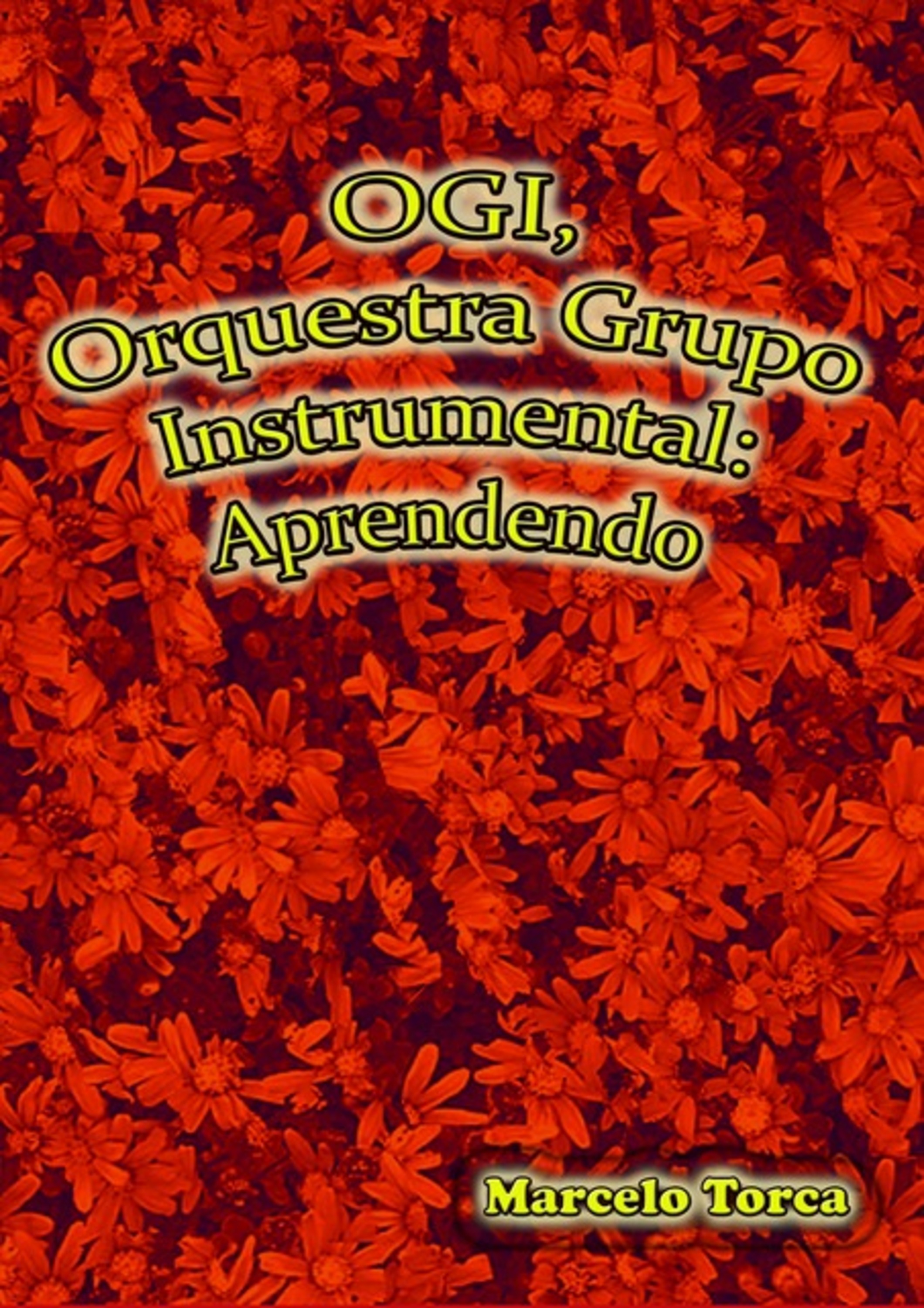 Ogi, Orquestra Grupo Instrumental: Aprendendo