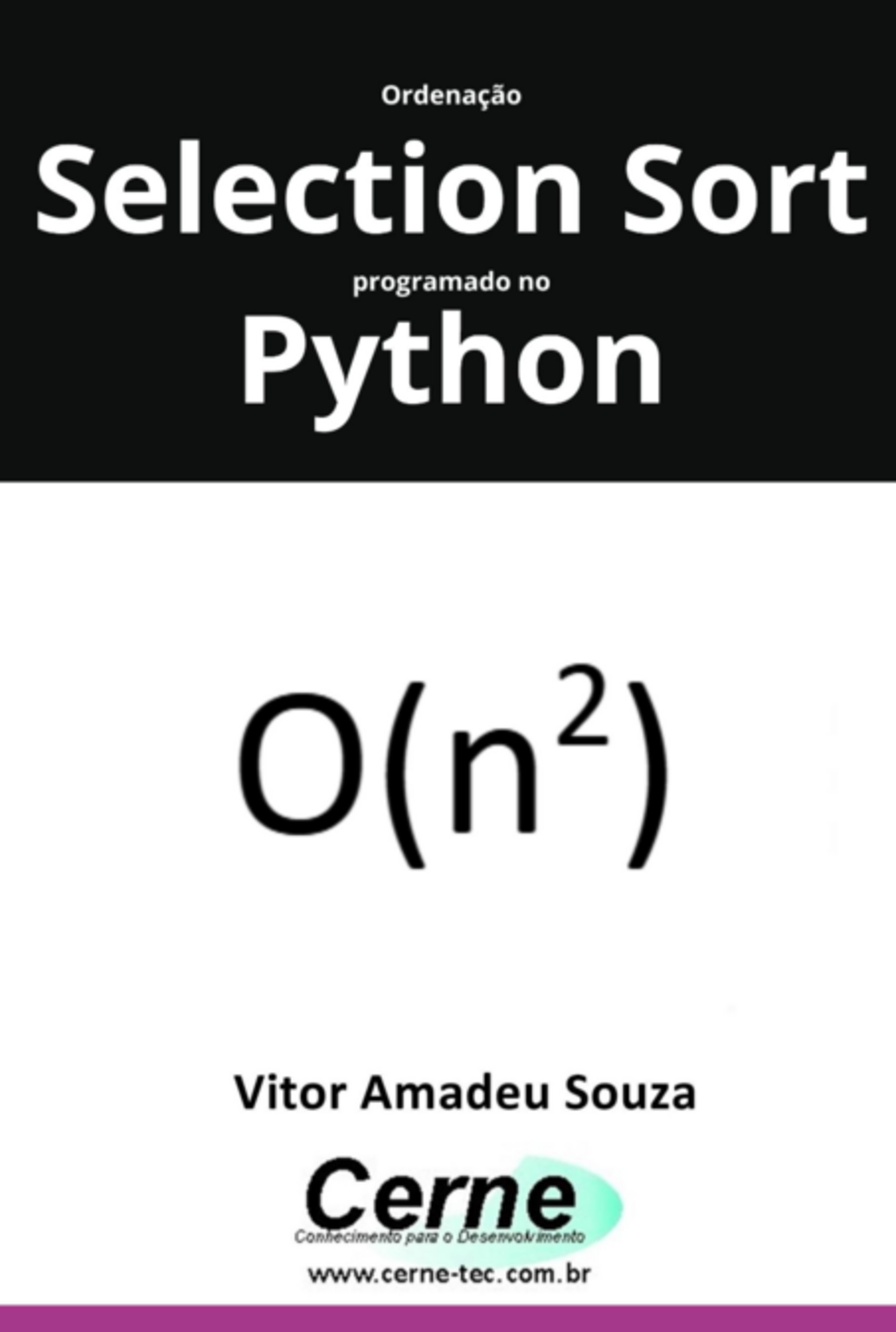 Ordenação Selection Sort Programado No Python