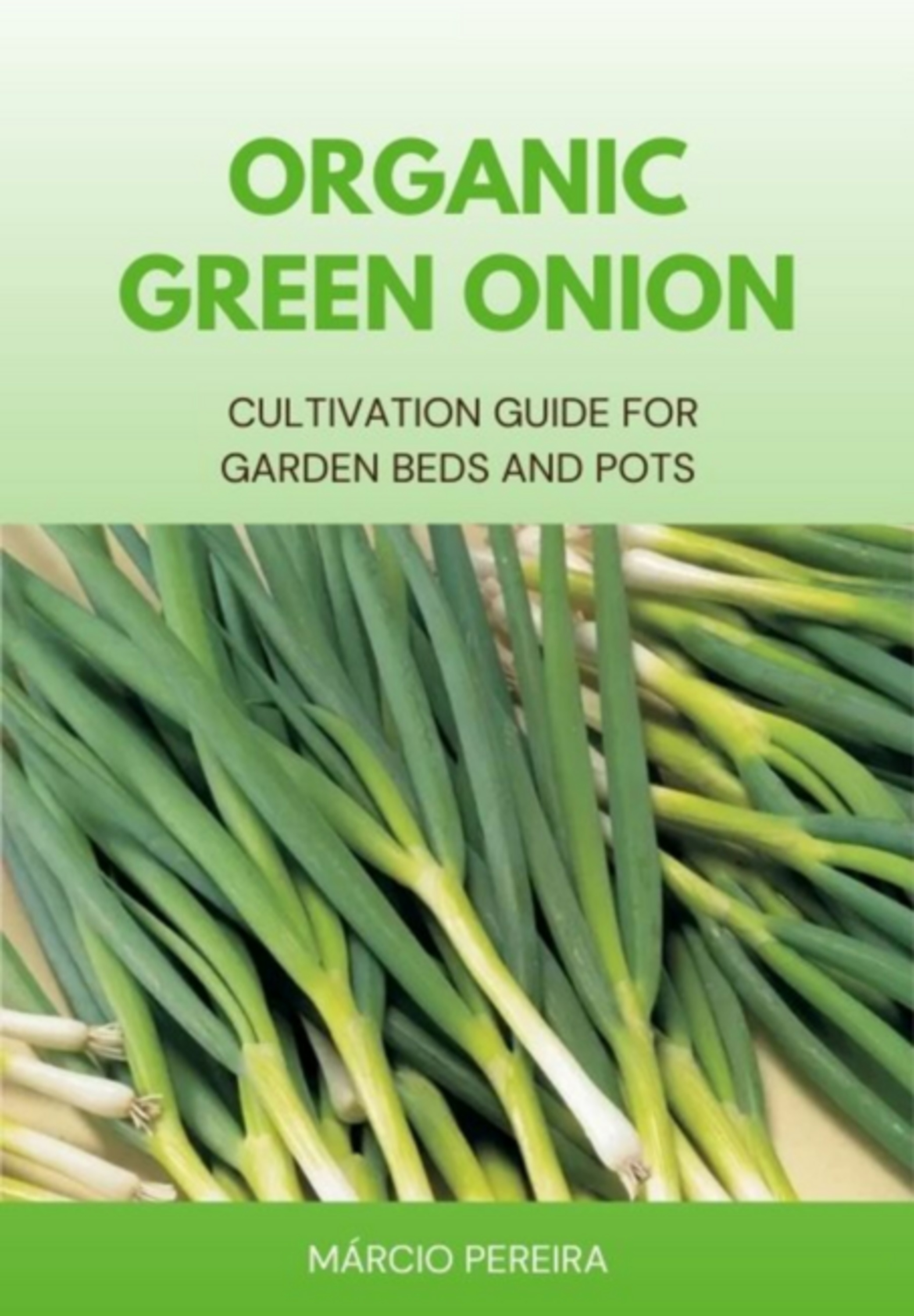 Organic Green Onion