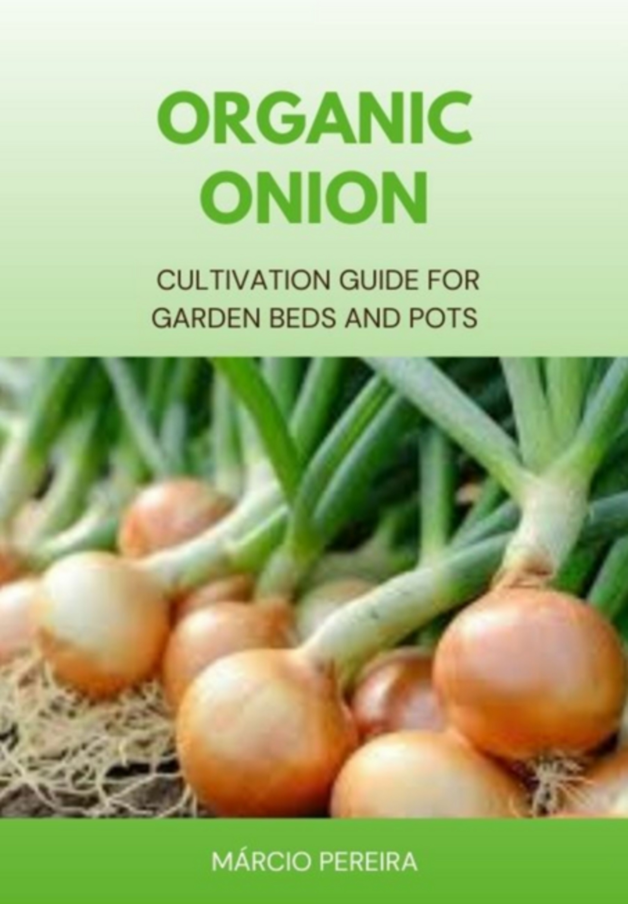 Organic Onion