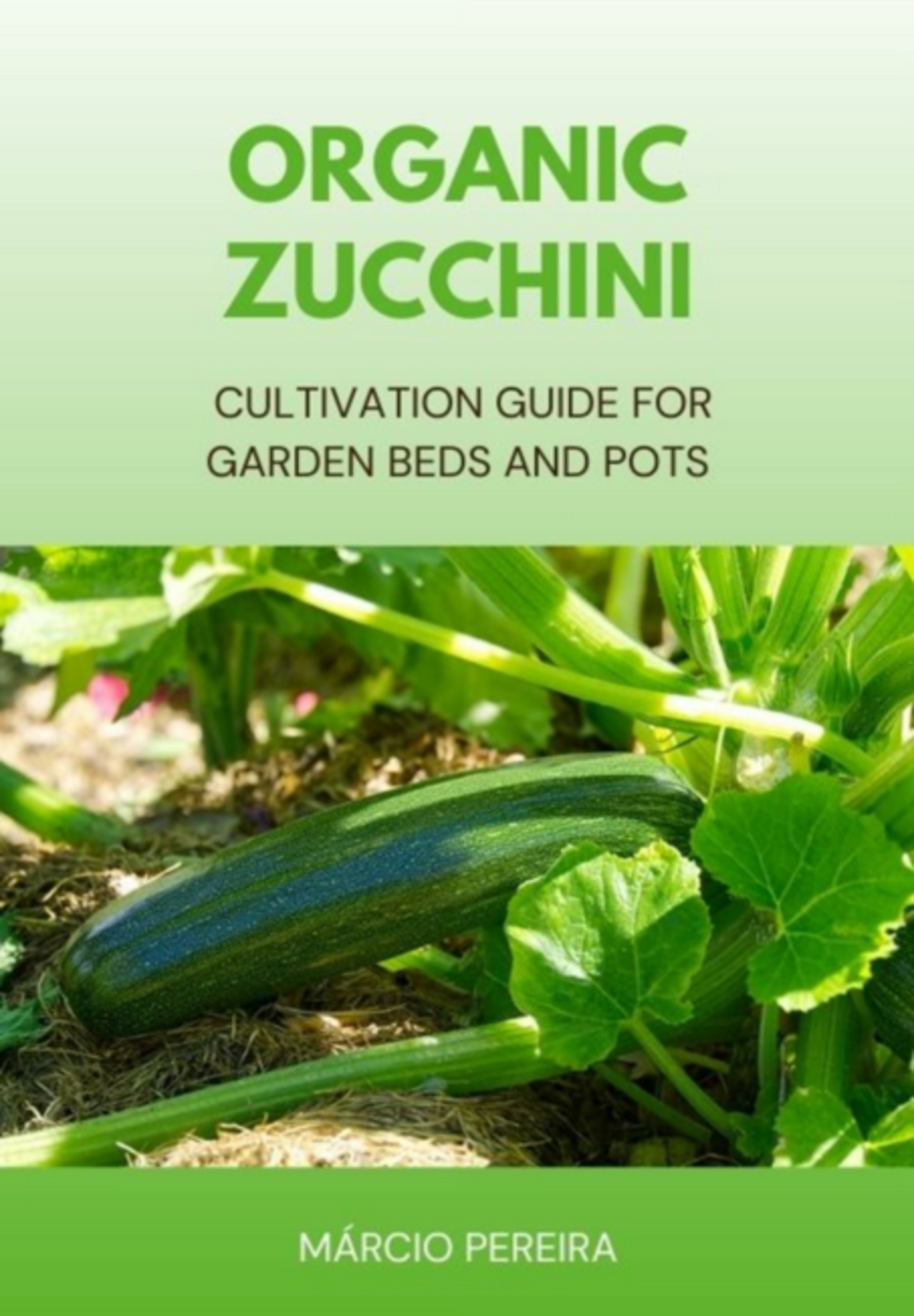 Organic Zucchini