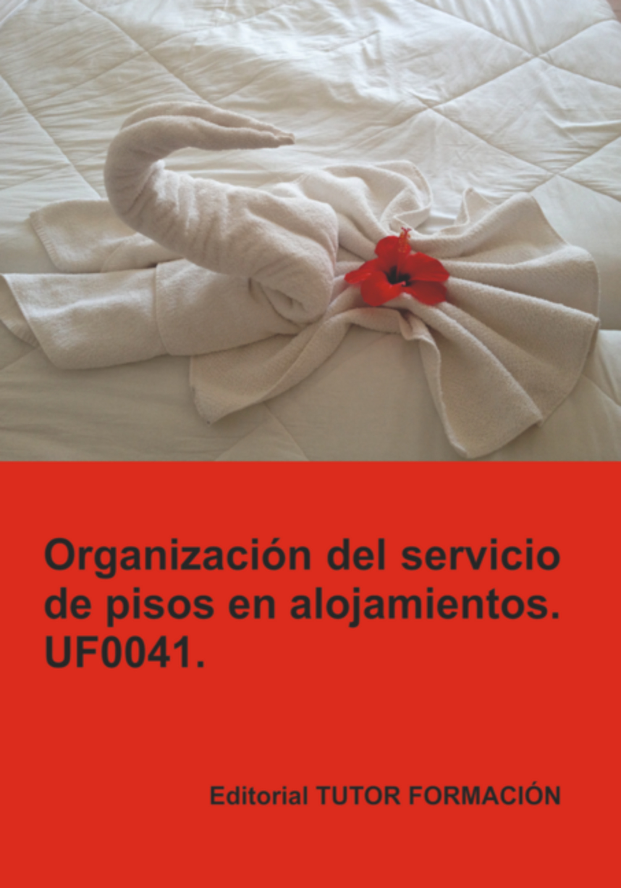 Organización Del Servicio De Pisos En Alojamientos. Uf0041.