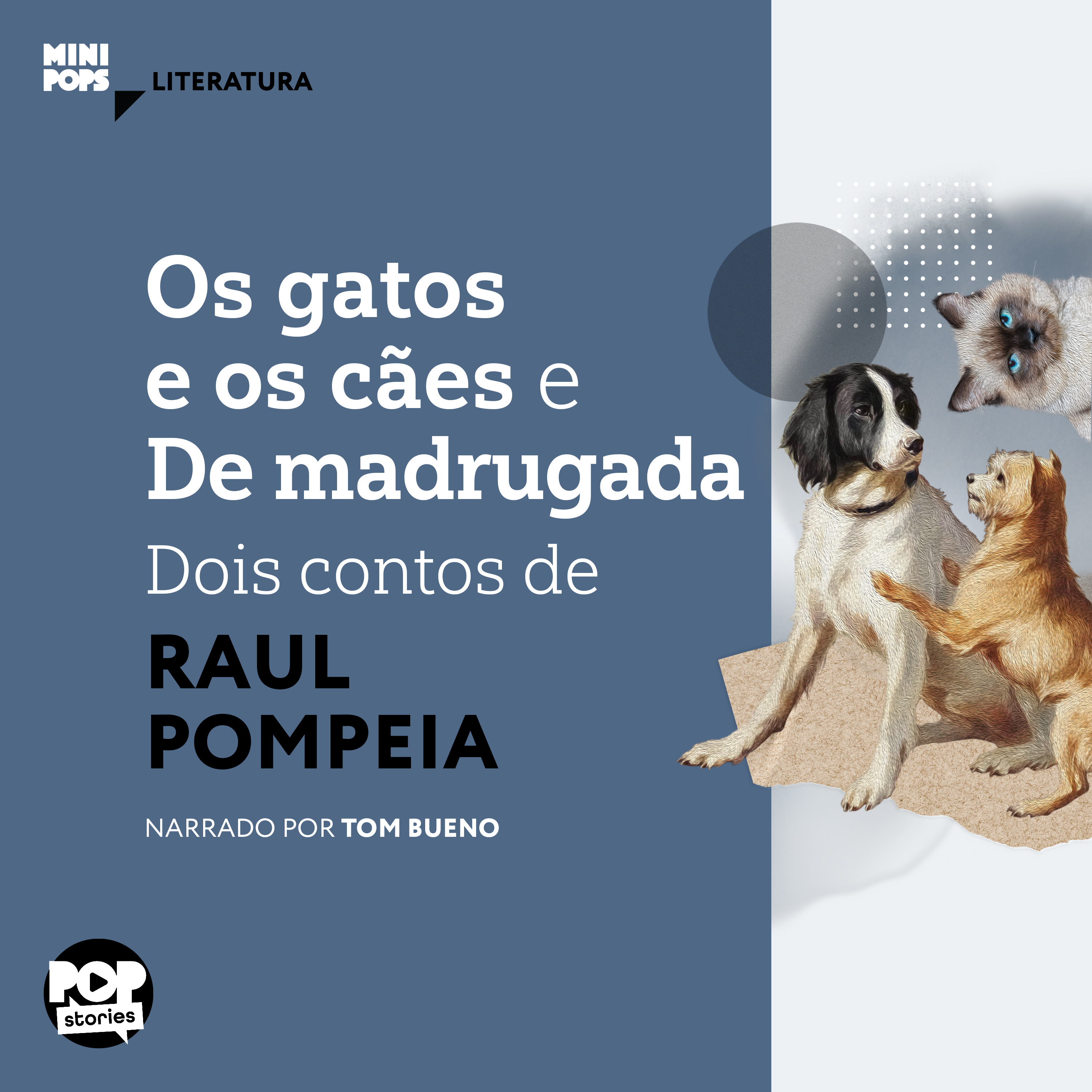 Os gatos e o cães e De madrugada: Dois contos de Raul Pompeia