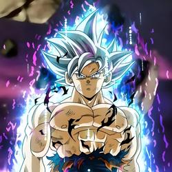 Os Segredos de Son Goku