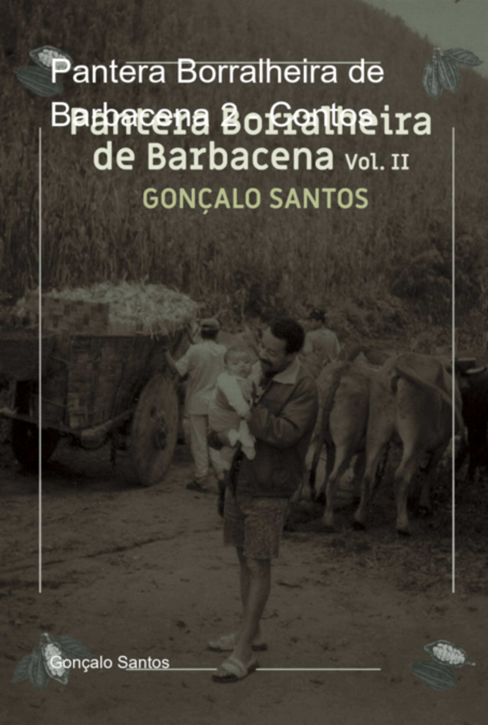 Pantera Borralheira De Barbacena 2 - Contos