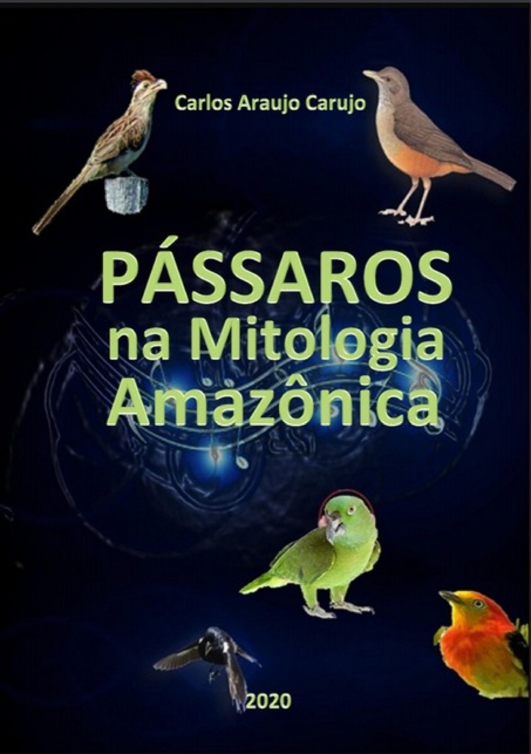 Pássaros Da Amazônia