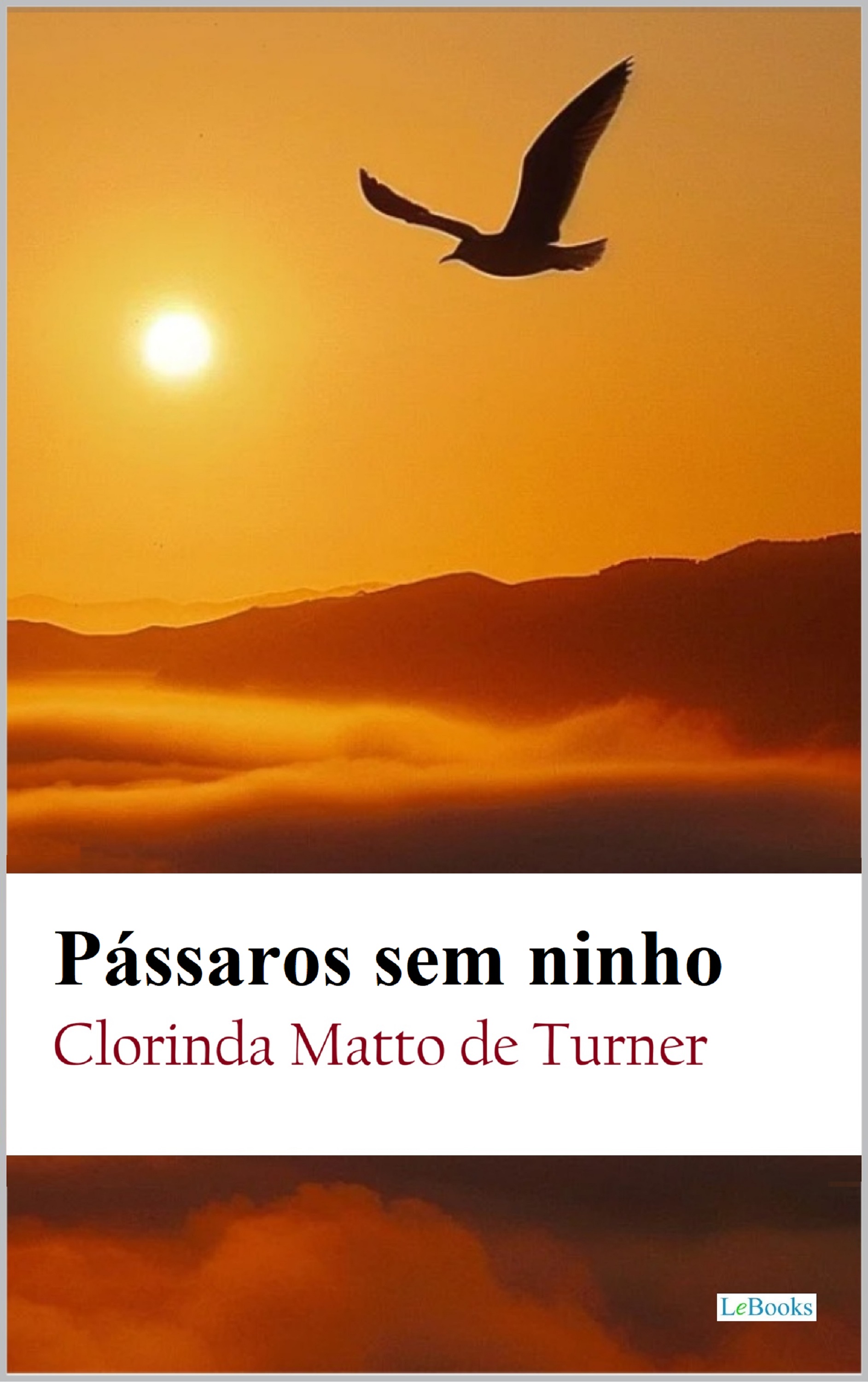 Pássaros sem ninho