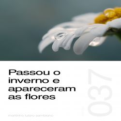 Passou o inverno e apareceram as flores - Sermão 037