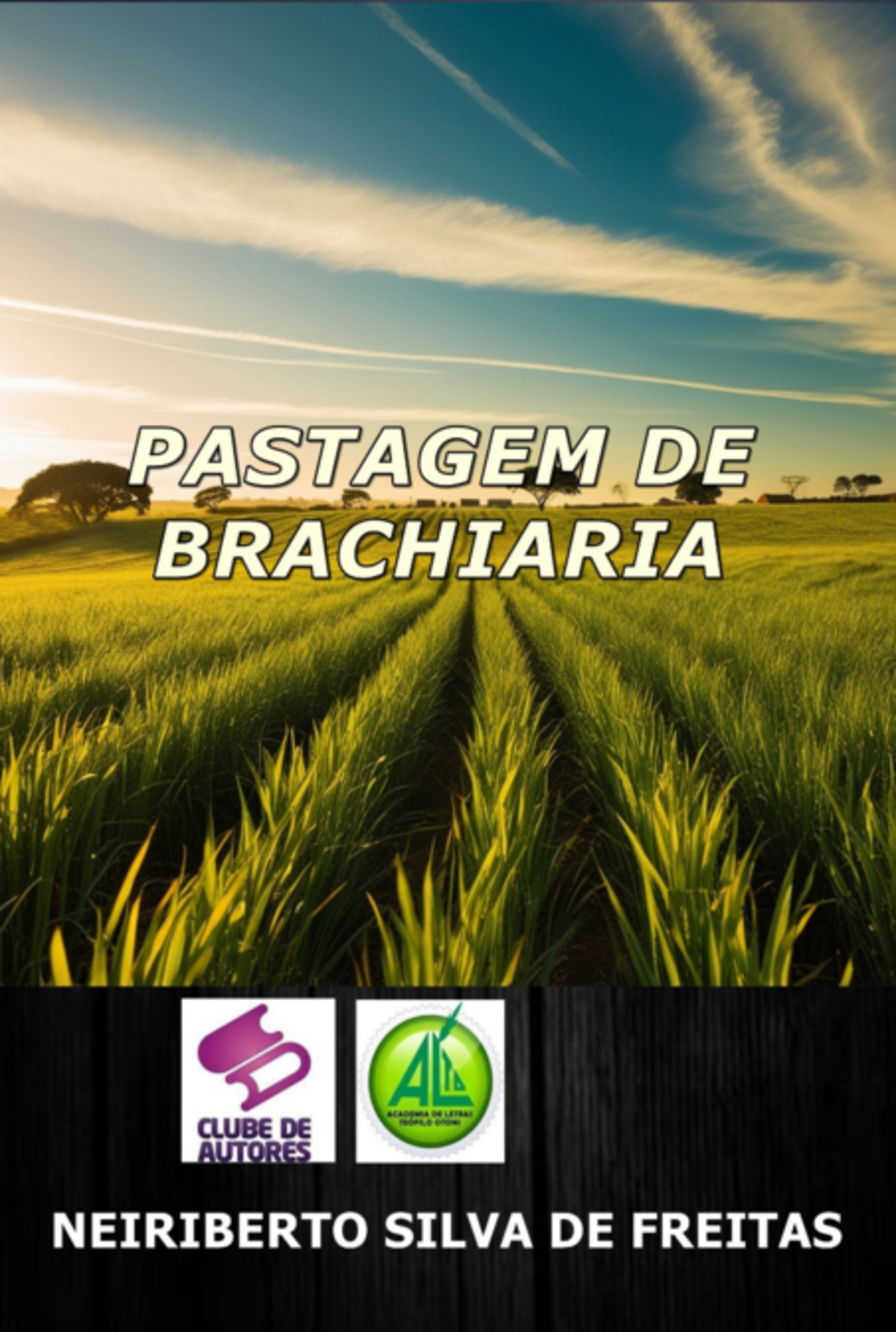 Pastagem De Brachiária