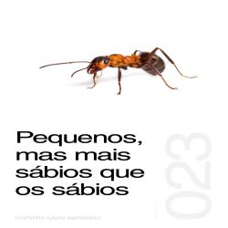 Pequenos, mas mais sábios que os sábios - Sermão 023
