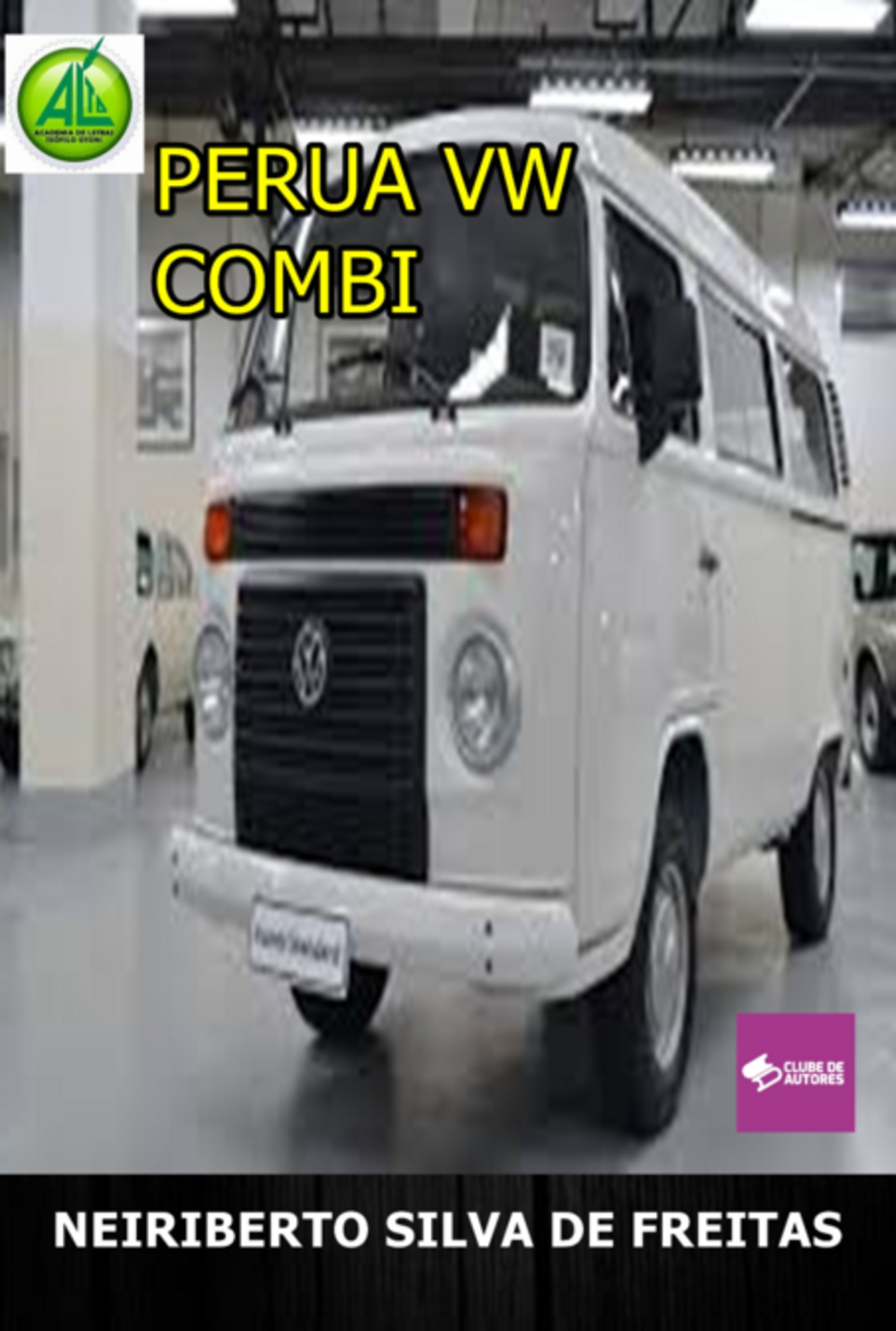 Perua Vw Kombi