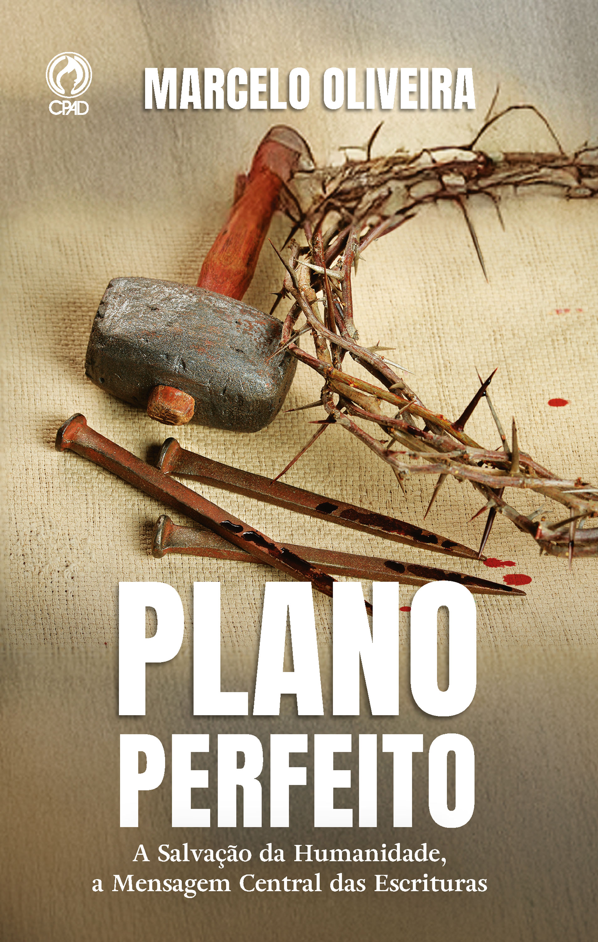 Plano Perfeito (Livro de apoio Jovens)