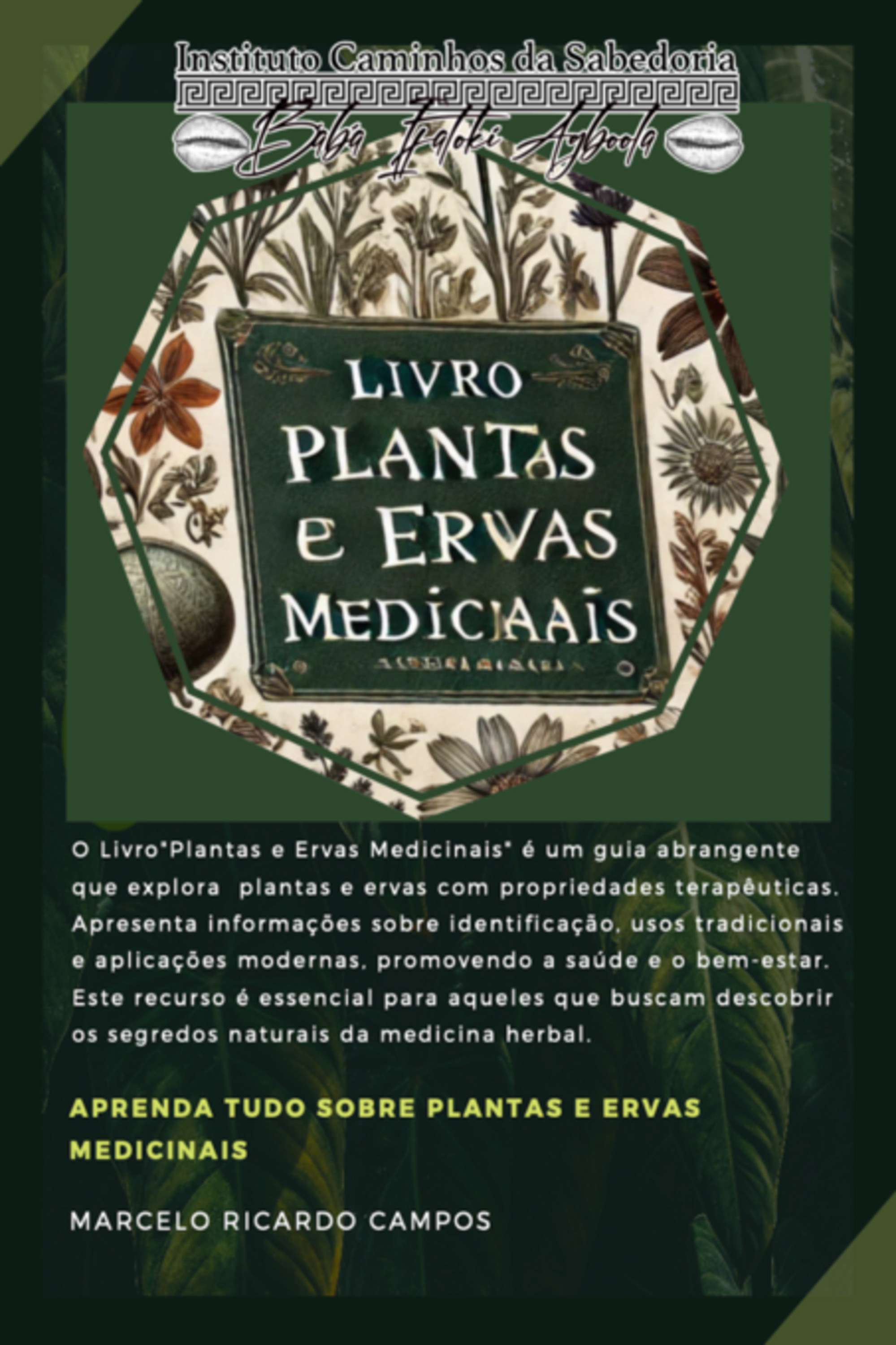 Plantas E Ervas Medicinais – O Poder Da Natureza Ao Seu Alcance
