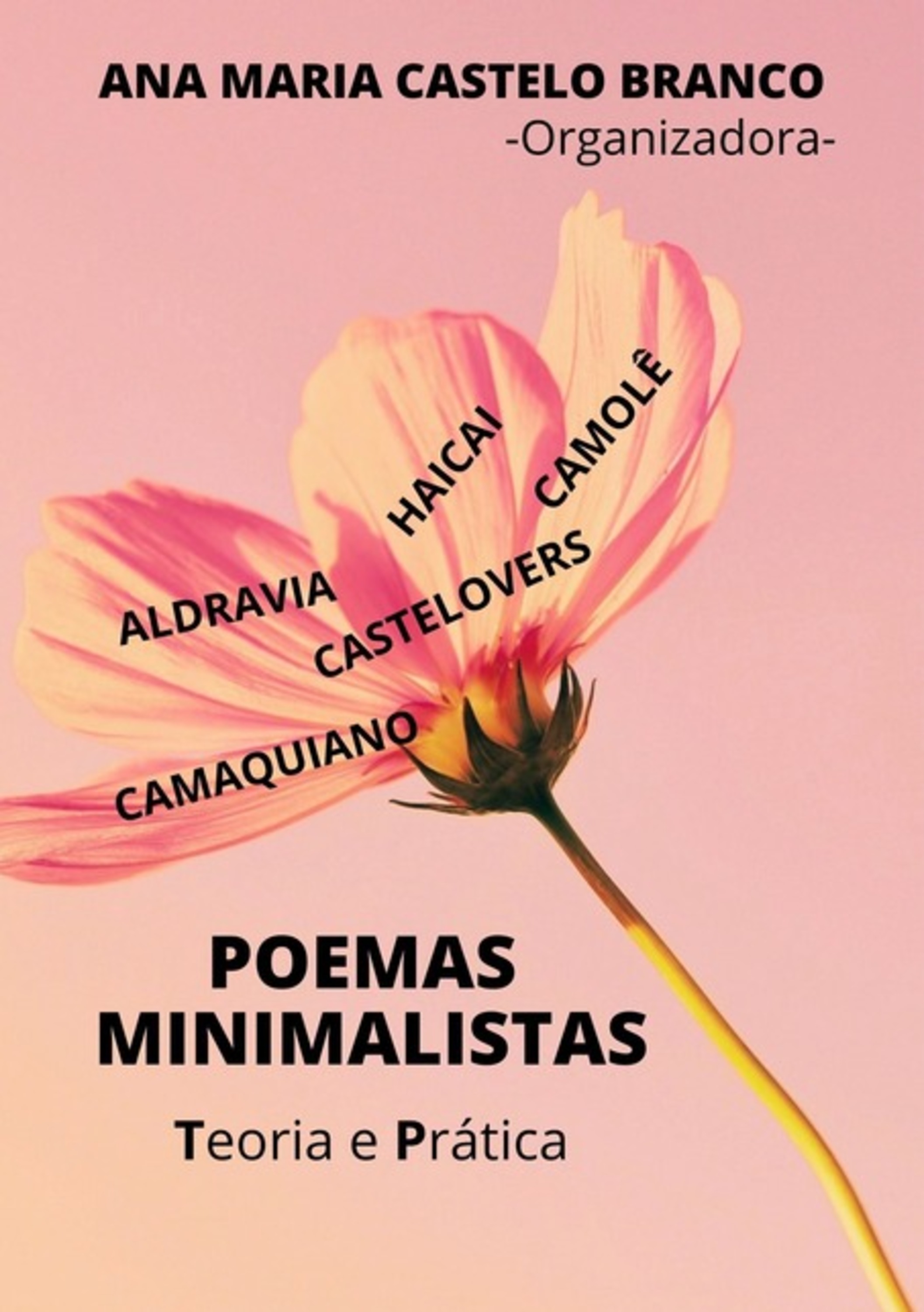 Poemas Minimalistas: Teoria E Prática