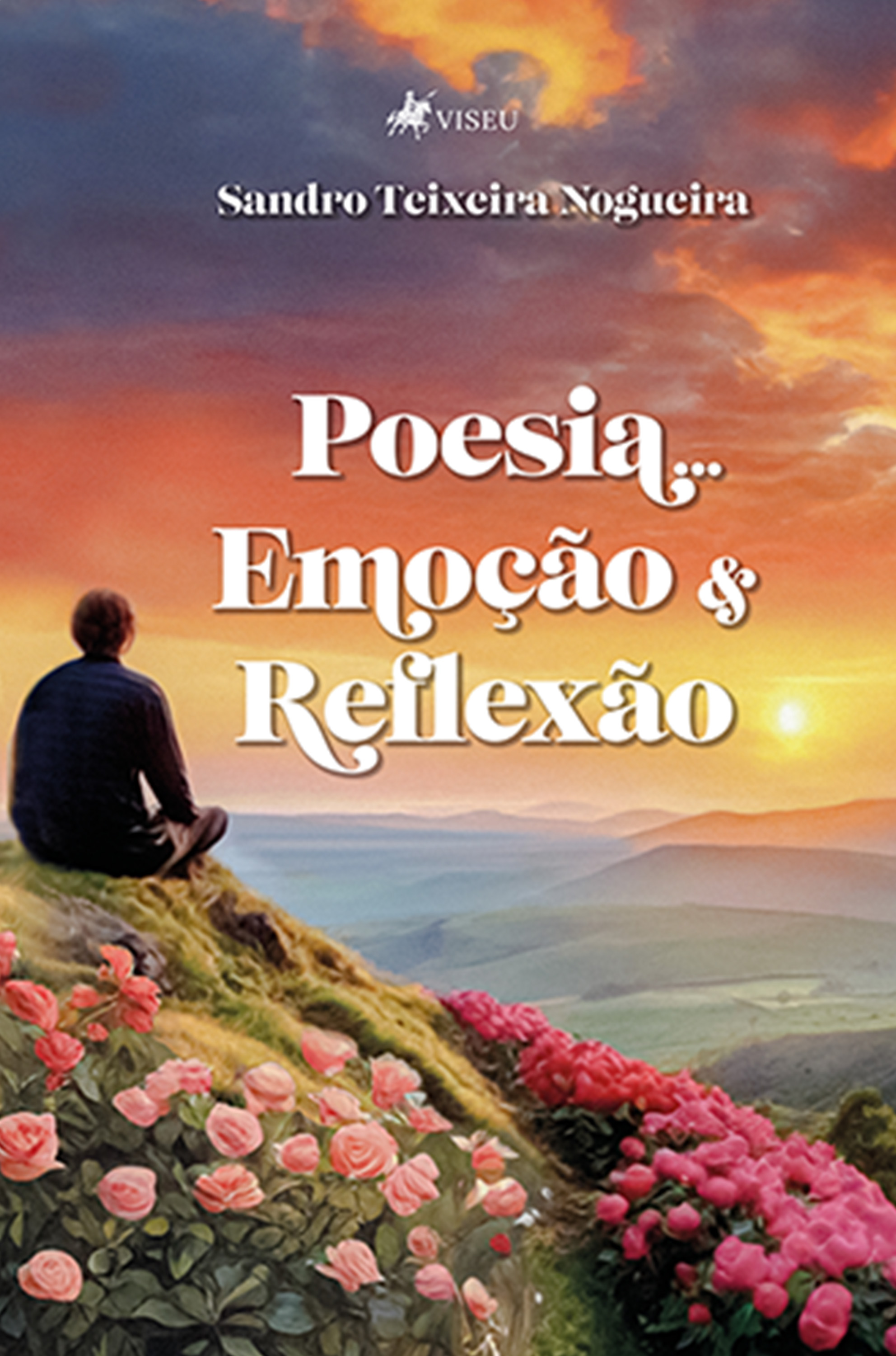 Poesia... Emoção e Reflexão