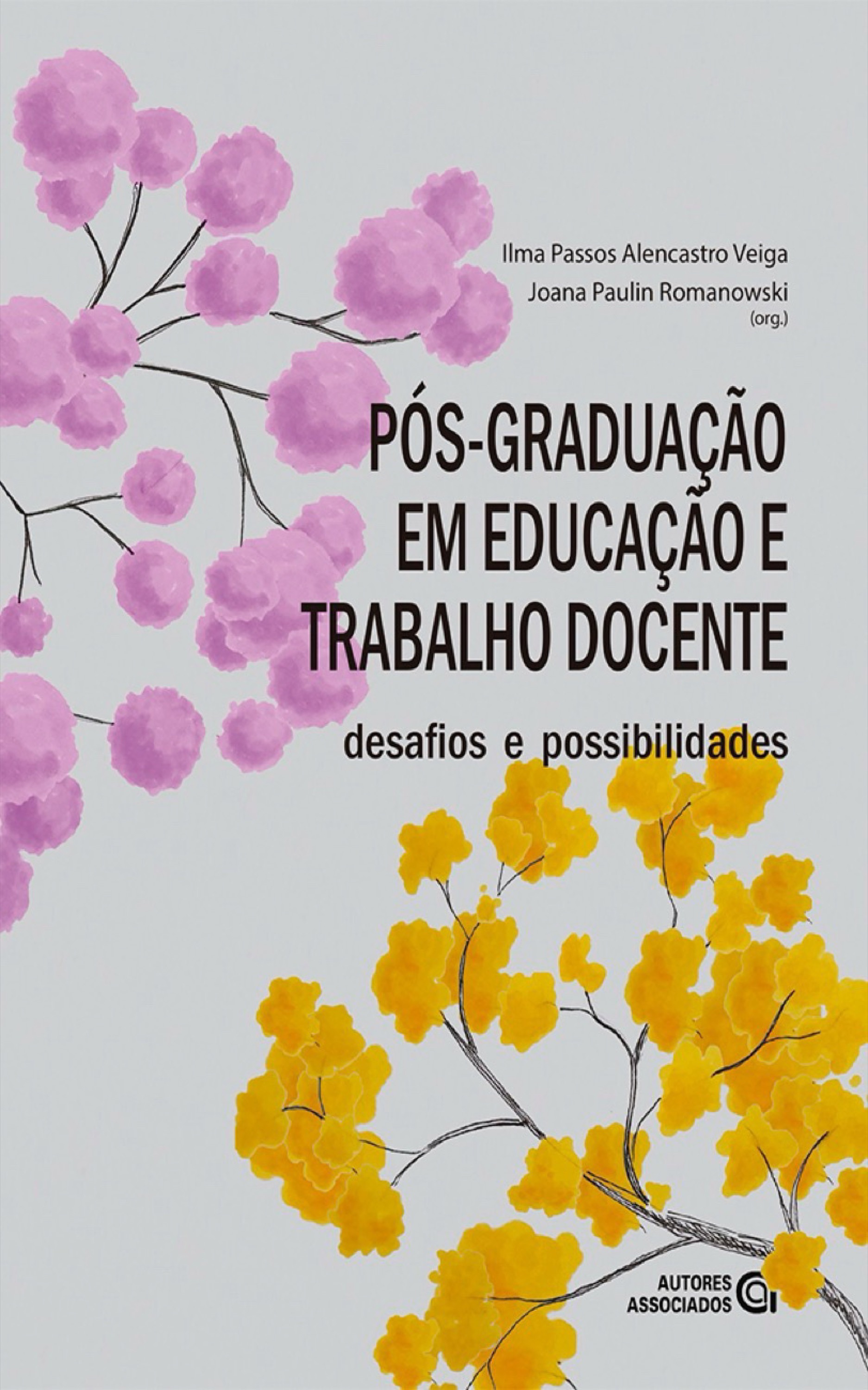 Pós-graduação em educação e trabalho docente