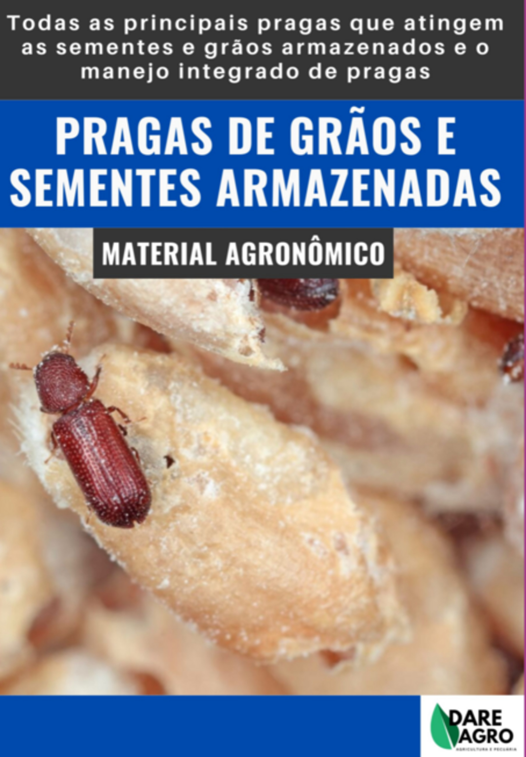 Pragas De Grãos E Sementes Armazenadas