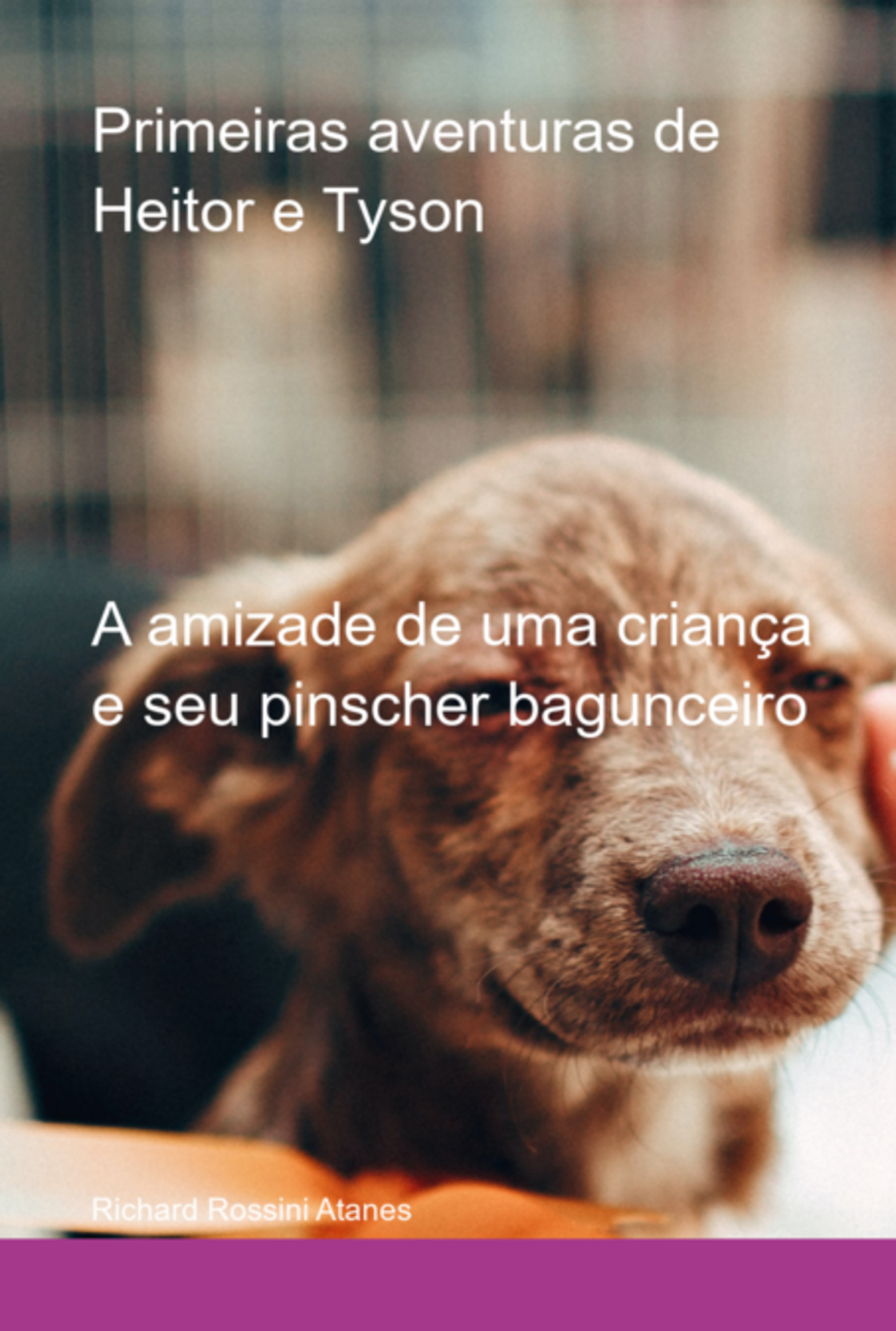 Primeiras Aventuras De Heitor E Tyson