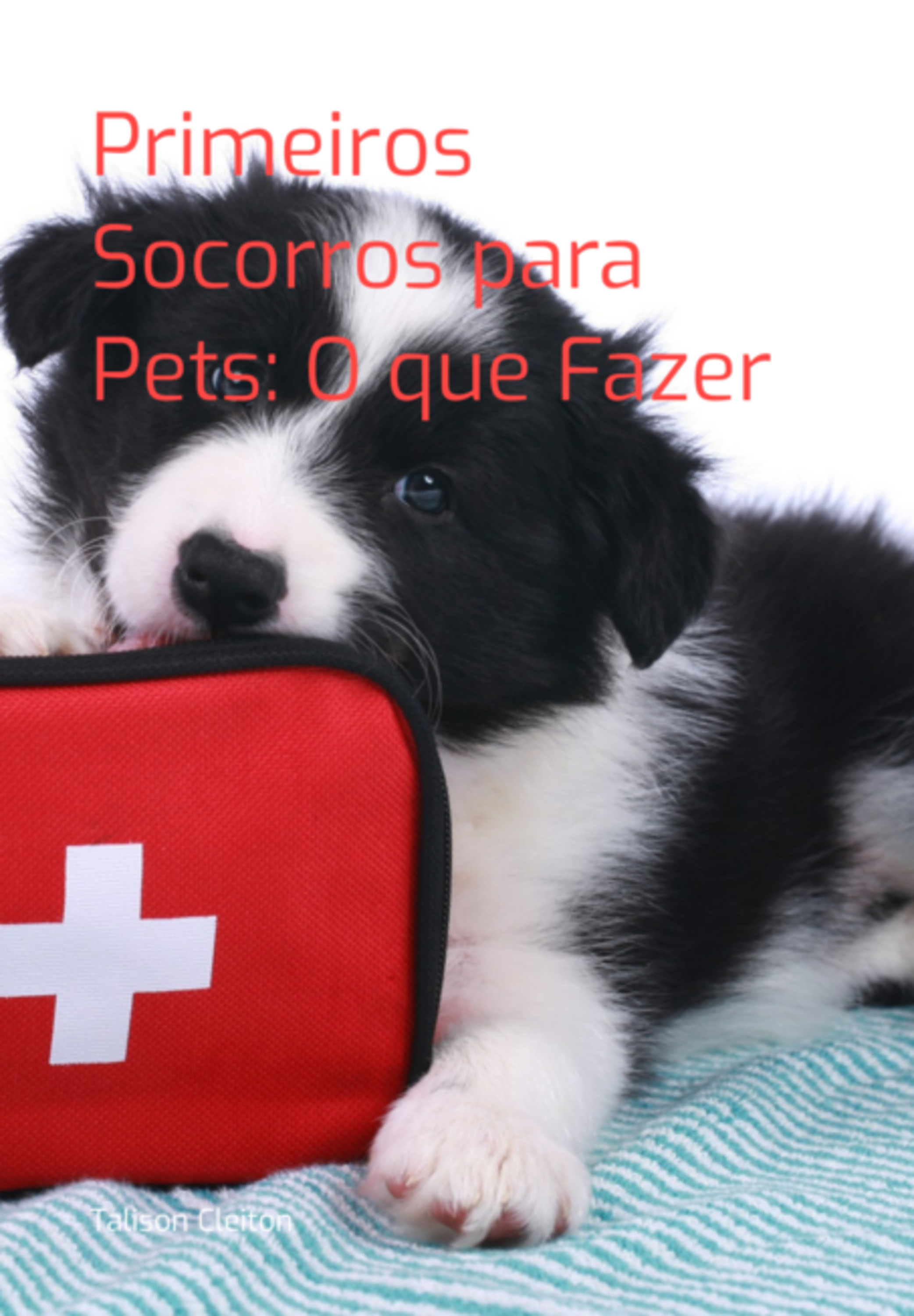 Primeiros Socorros Para Pets: O Que Fazer