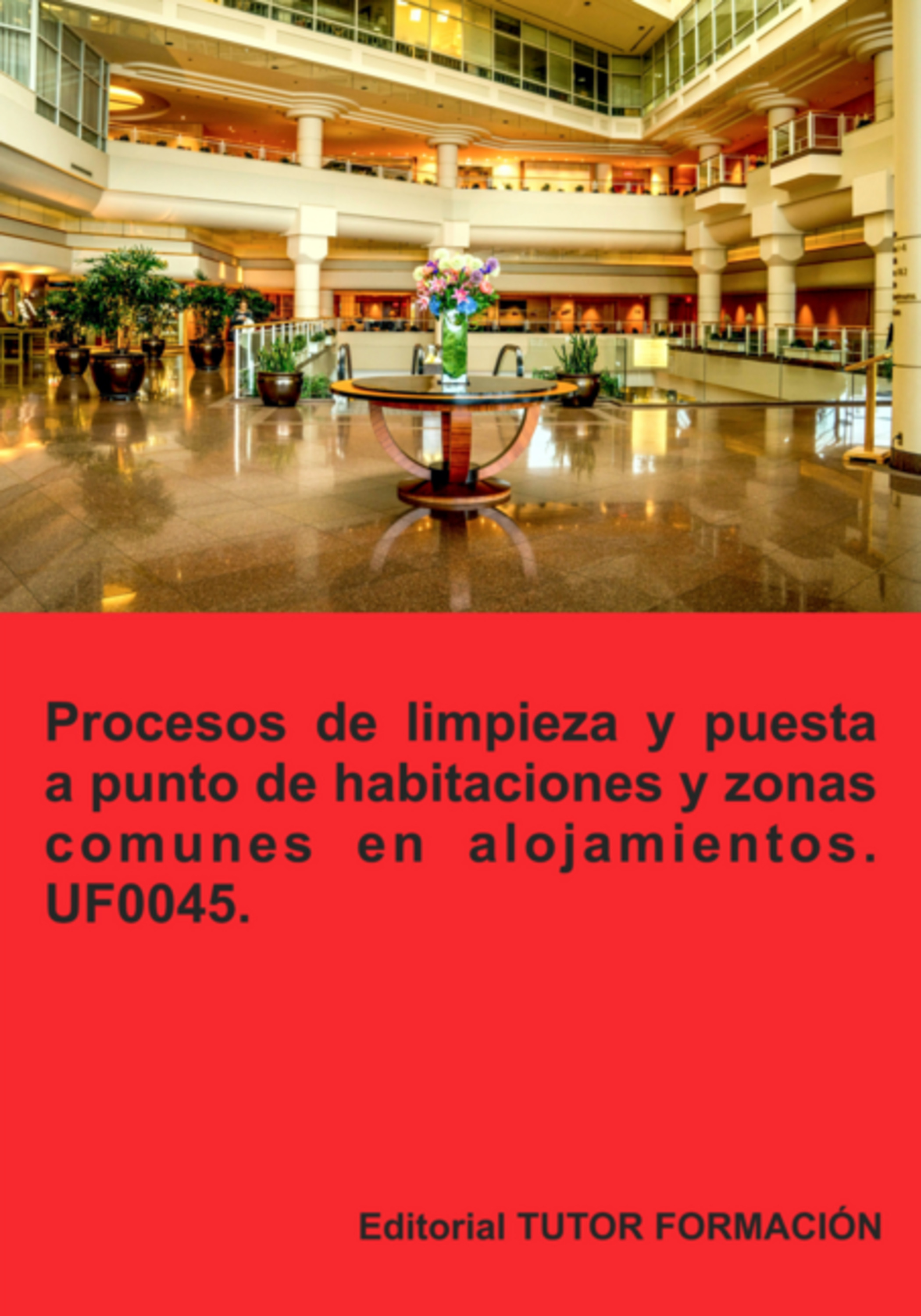 Procesos De Limpieza Y Puesta A Punto De Habitaciones Y Zonas Comunes En Alojamientos. Uf0045.