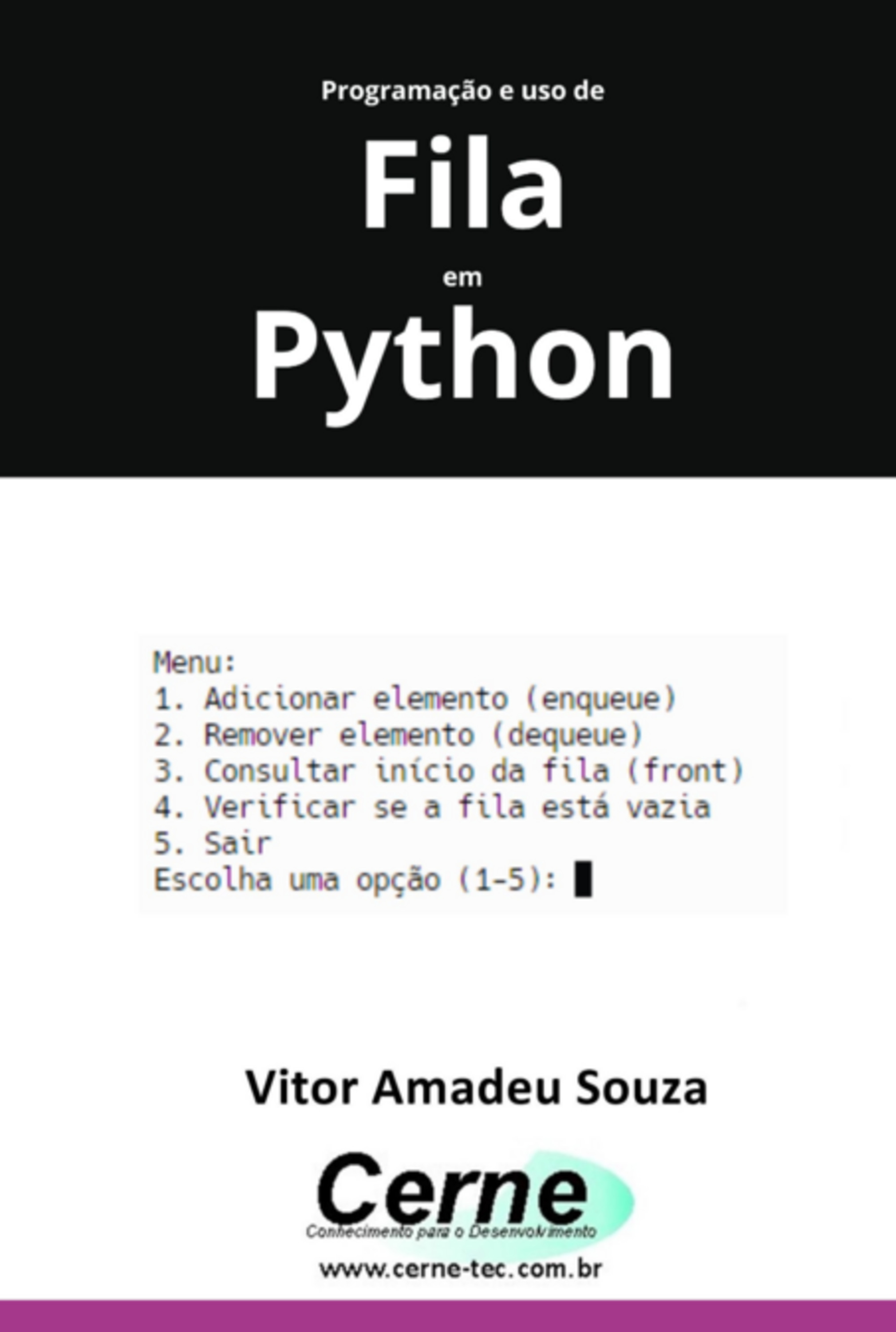 Programação E Uso De Fila Em Python