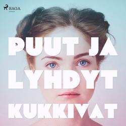 Puut ja lyhdyt kukkivat