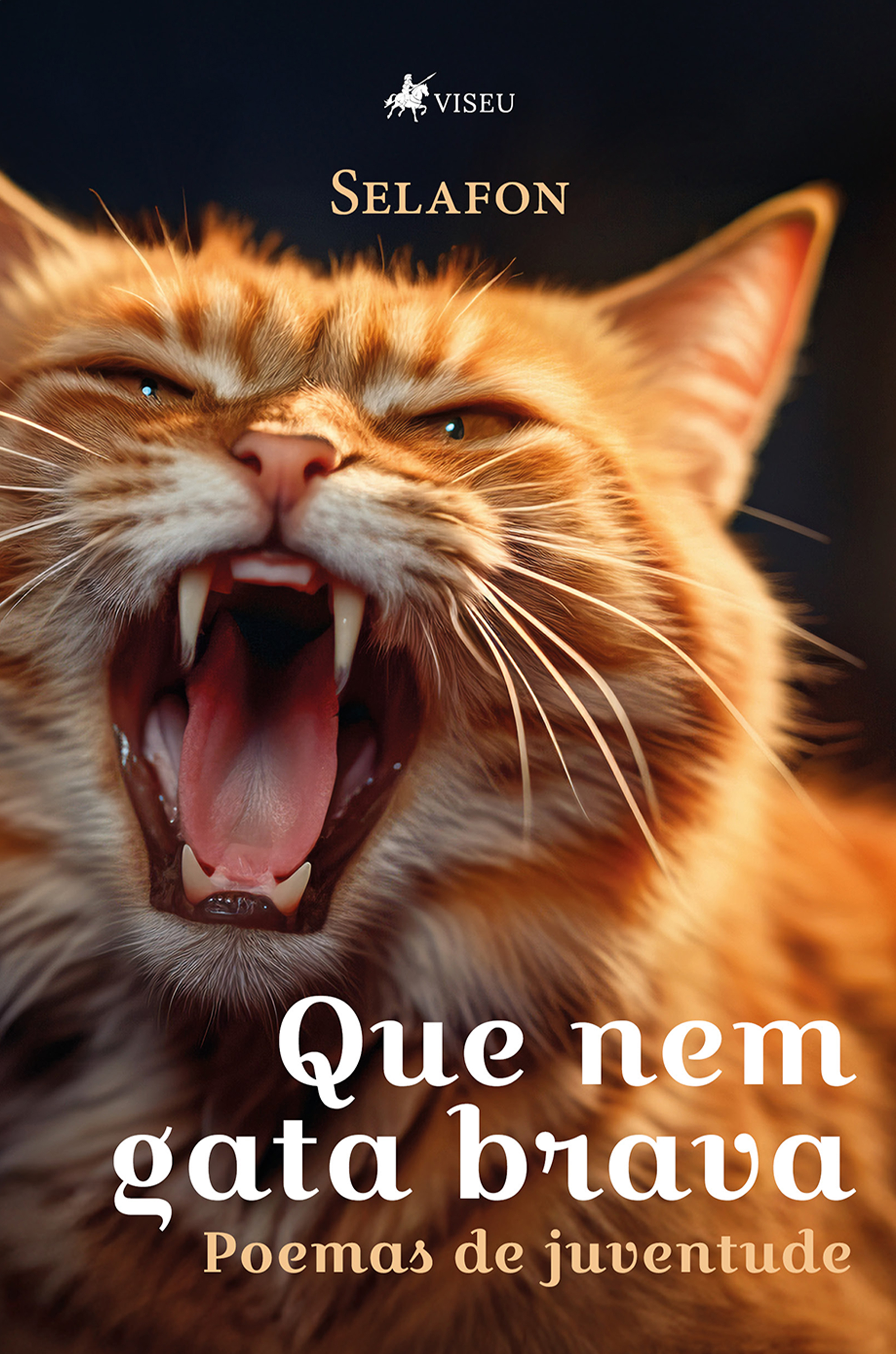 Que nem gata brava