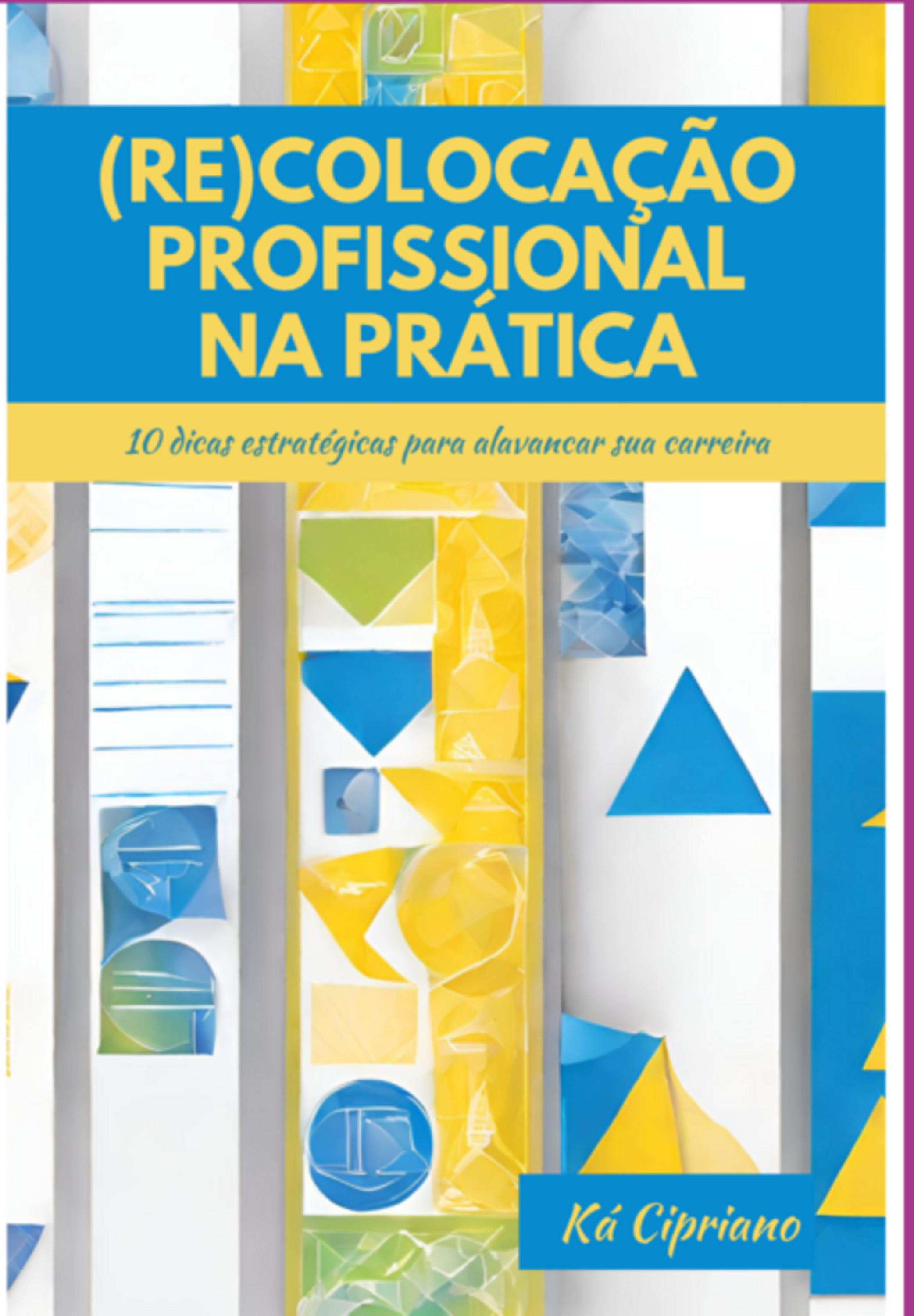 (re)colocação Profissional Na Prática