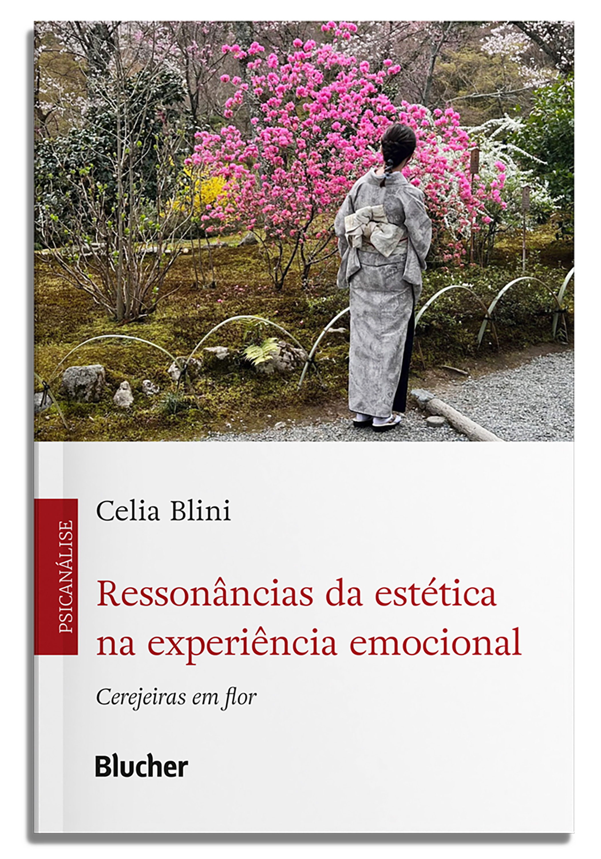 Ressonâncias da estética na experiência emocional