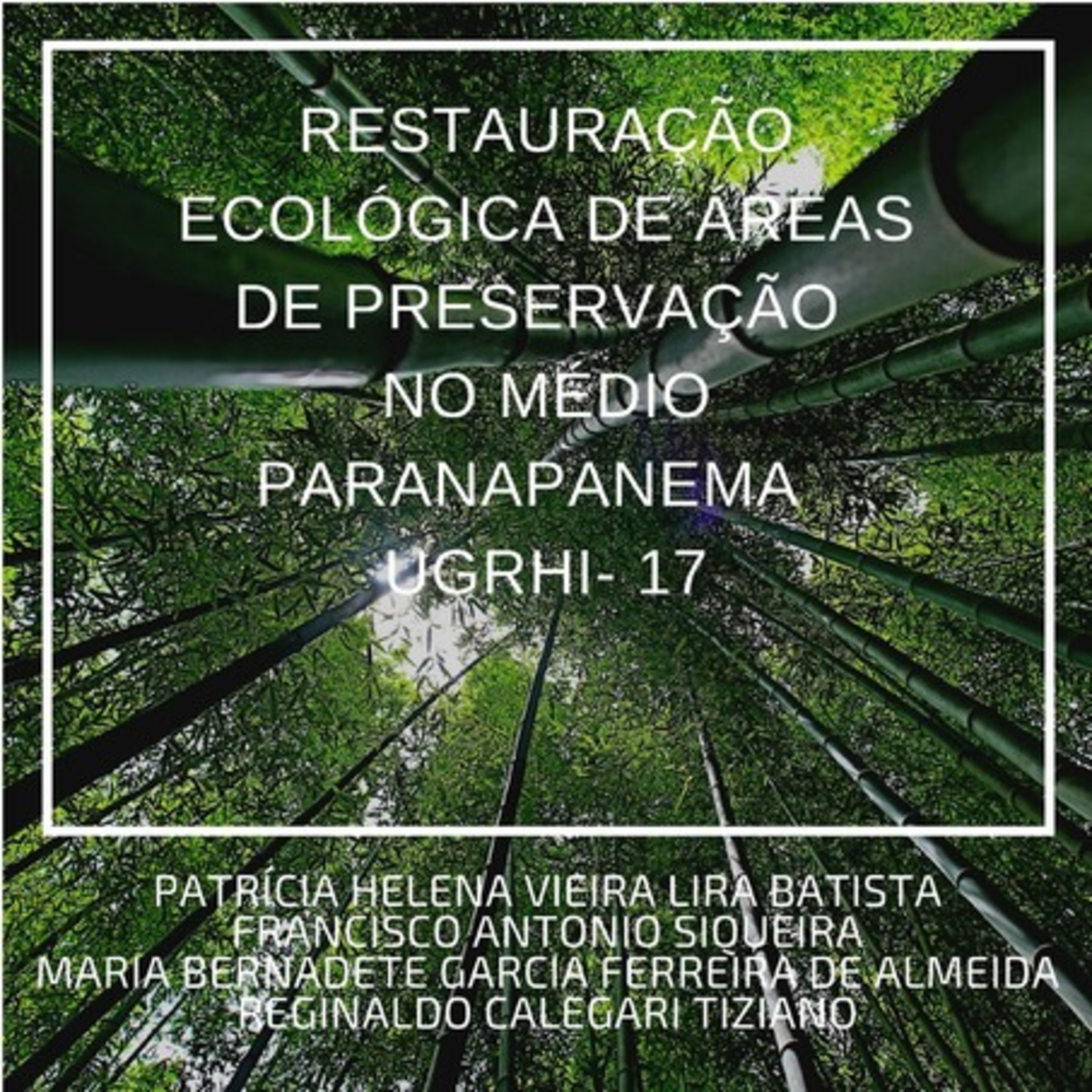 Restauração Ecológica De Áreas De Preservação Permanente Na Bacia Do Médio Paranapanema