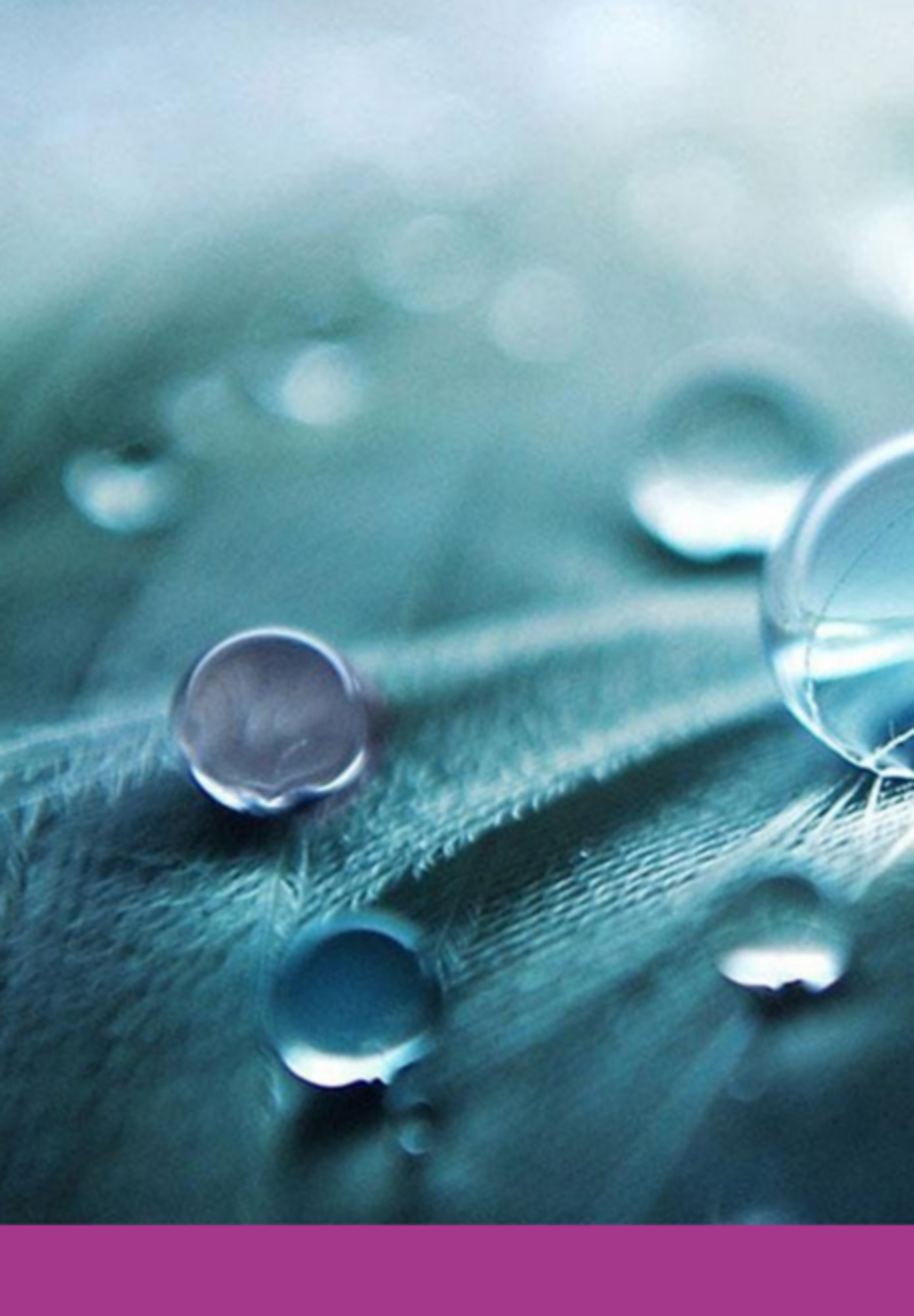 Retratos De Baudelaire